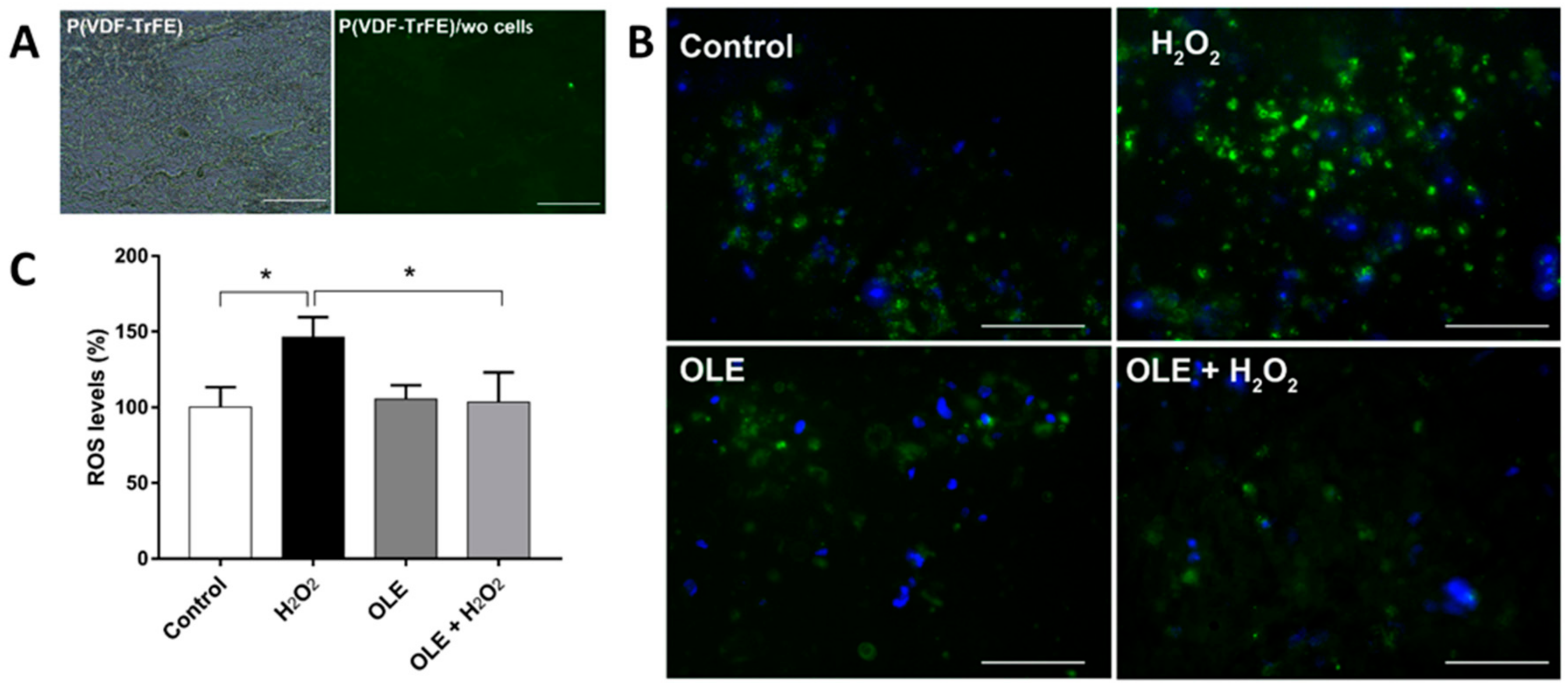 Ijms 20 05918 g007 Ijms 20 05918 g007