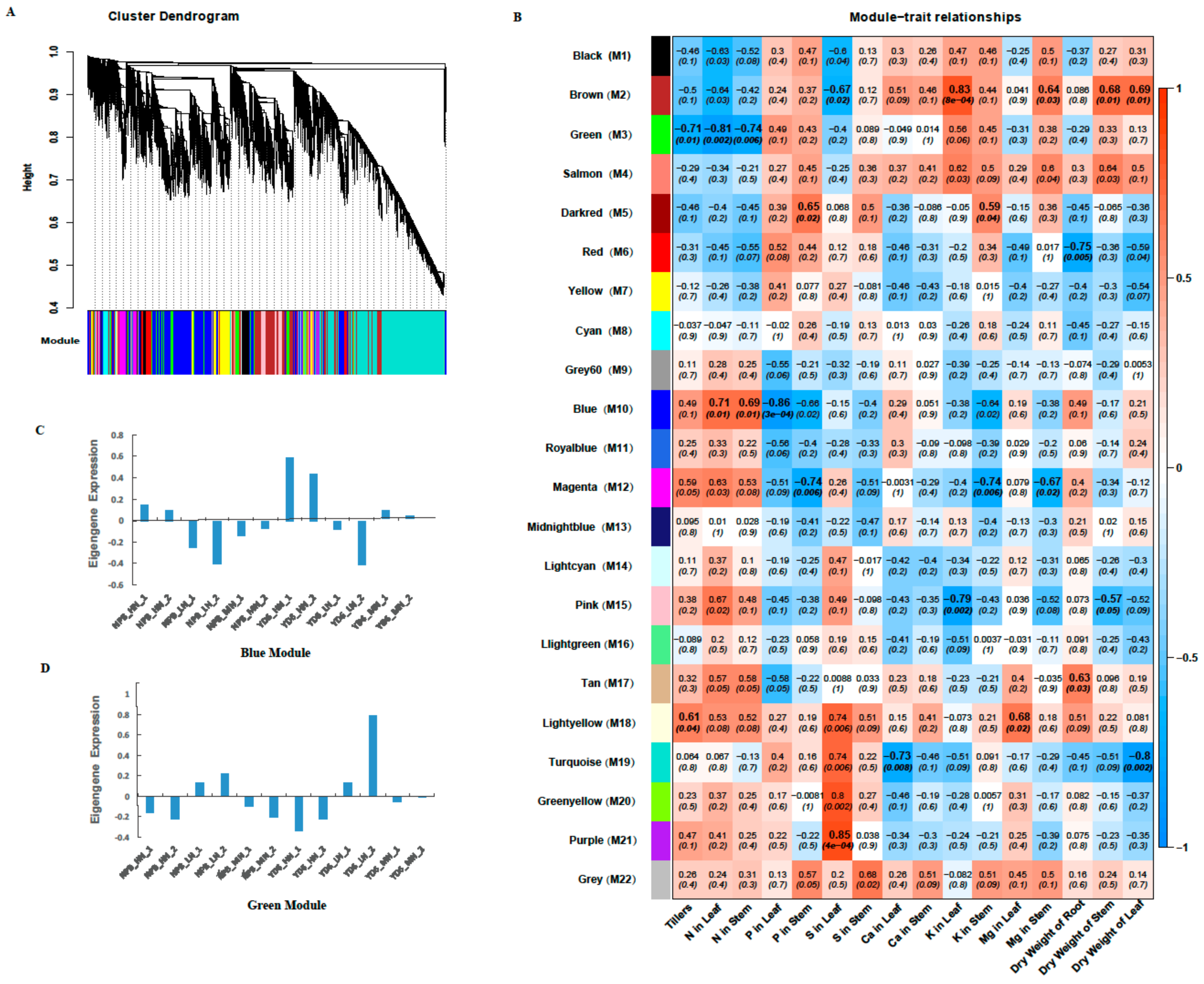 Ijms 20 05922 g007 Ijms 20 05922 g007