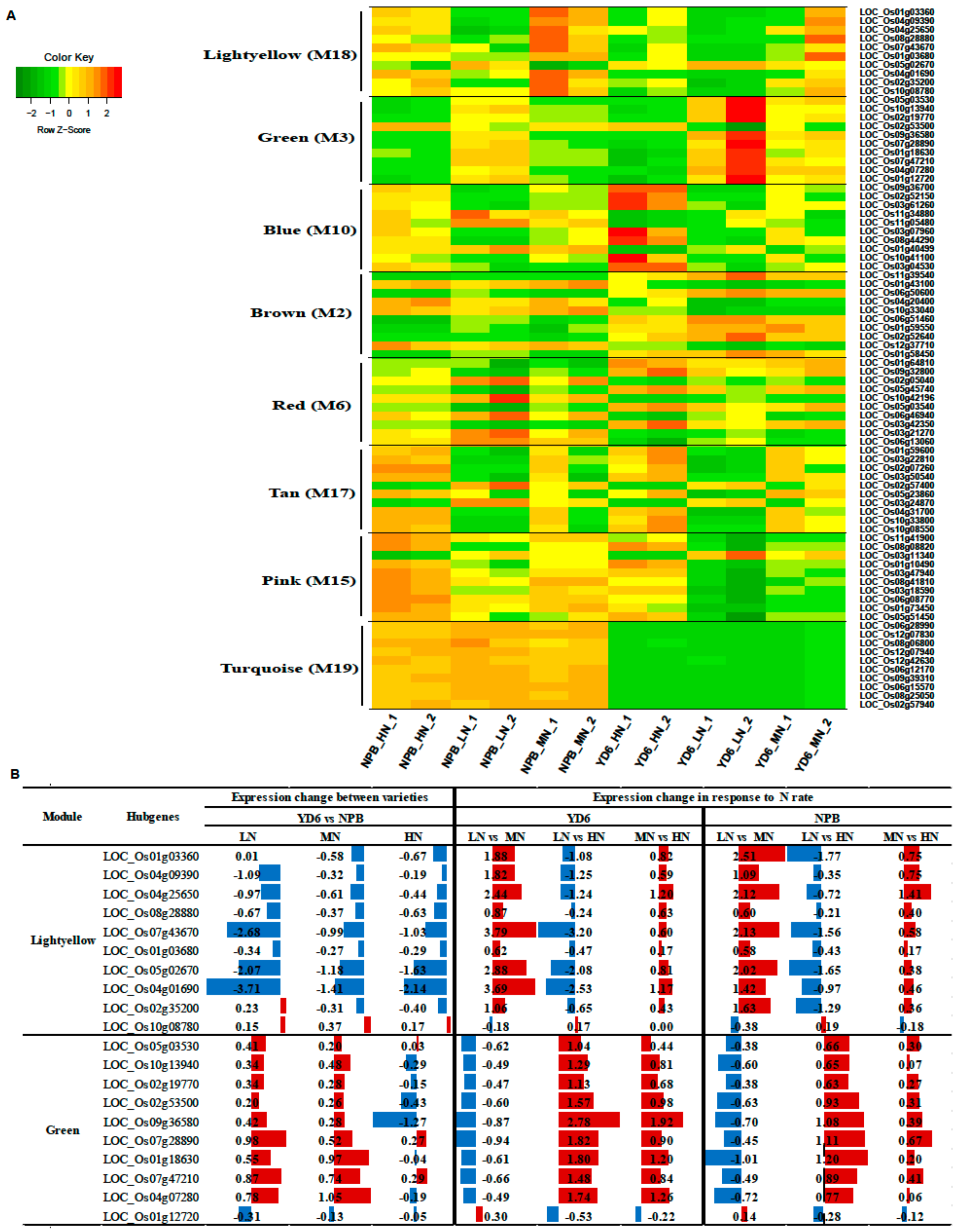Ijms 20 05922 g009 Ijms 20 05922 g009