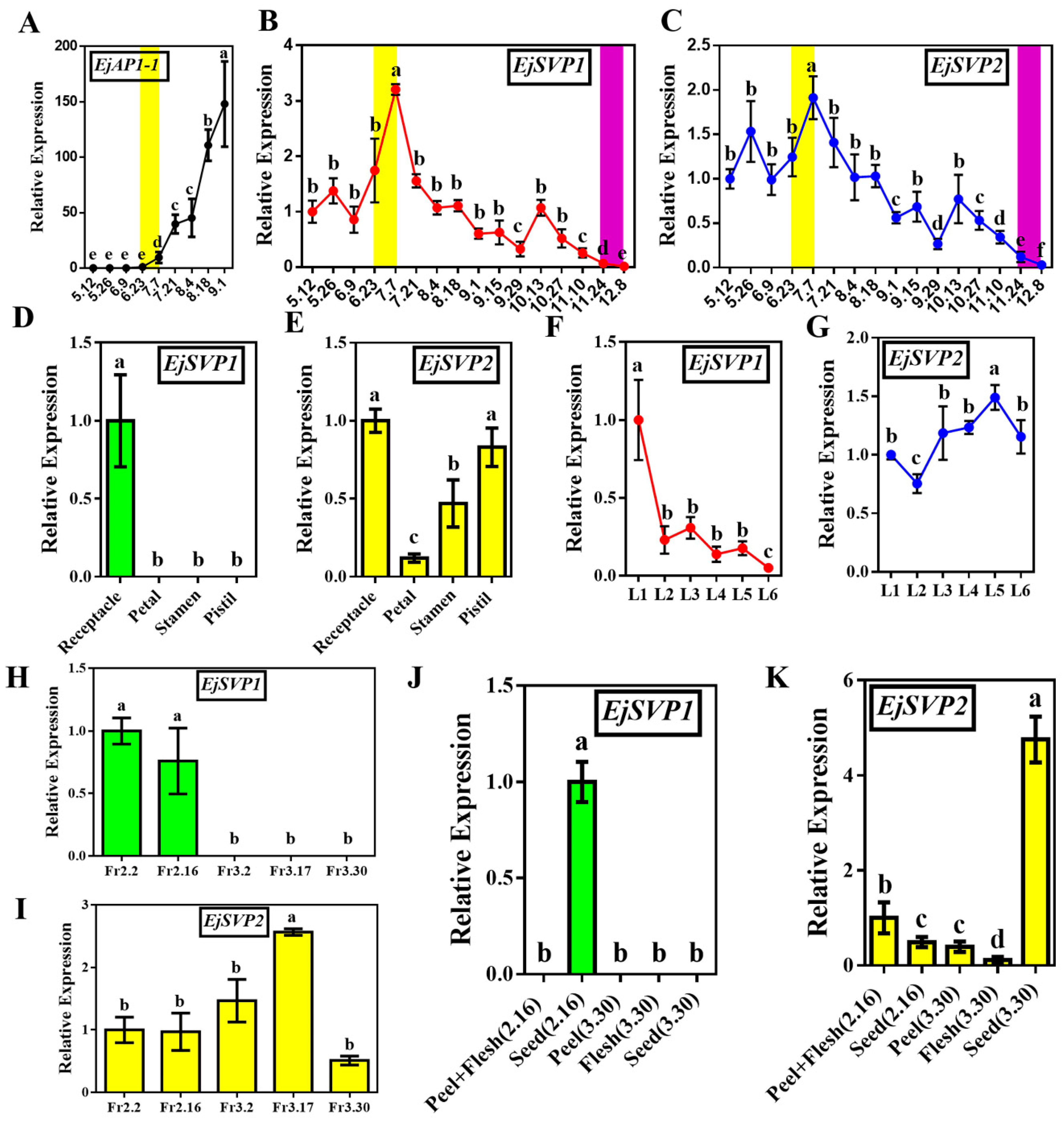 Ijms 20 05933 g003 Ijms 20 05933 g003