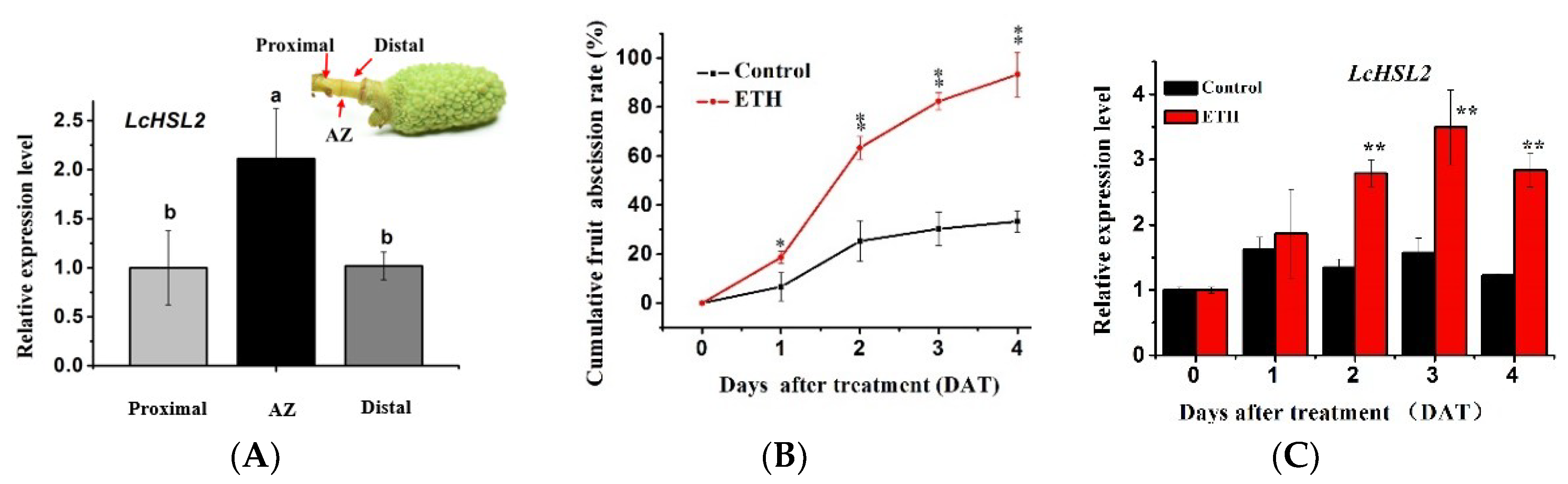 Ijms Free Full Text Identification Of The Novel Interacting