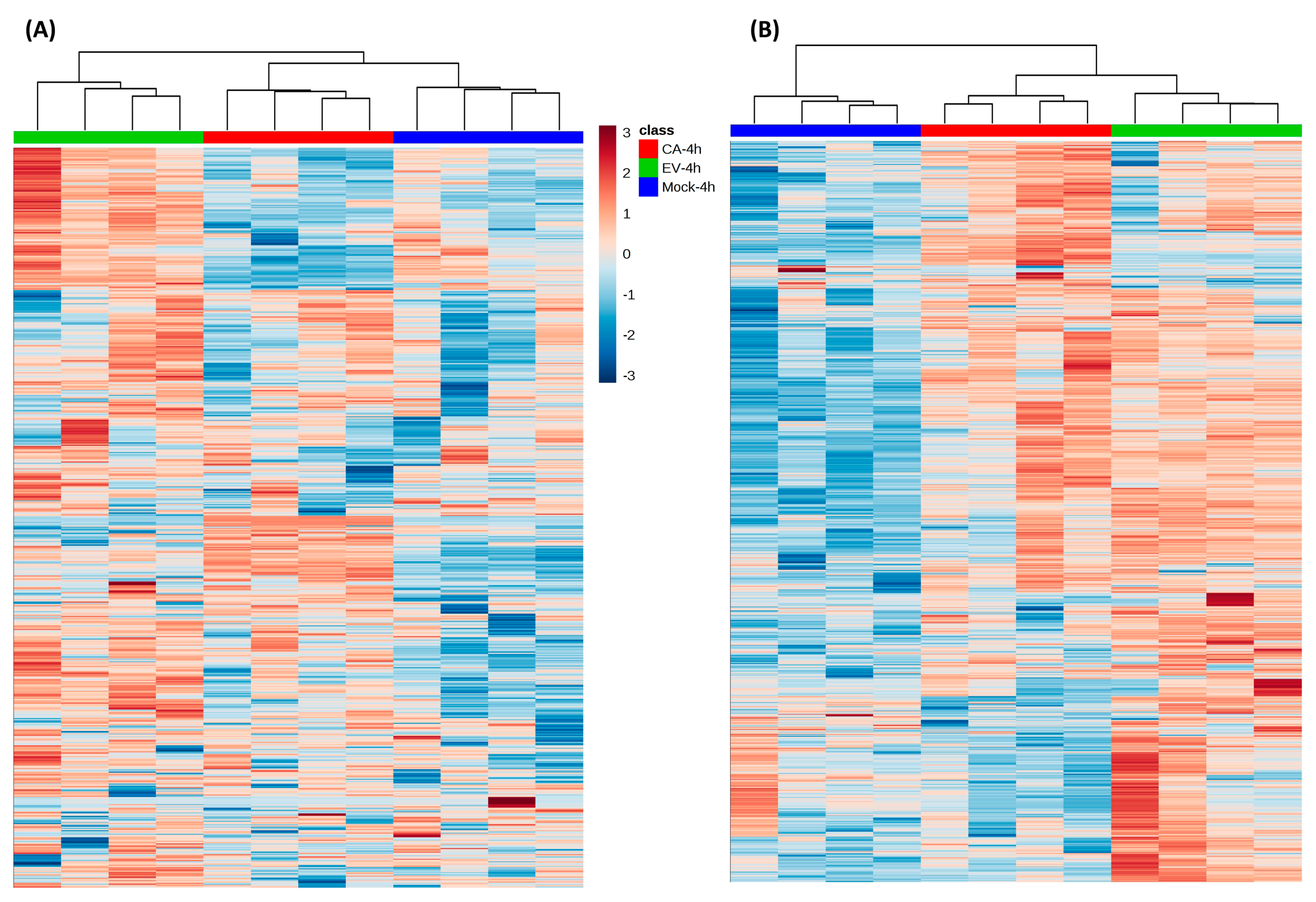 Ijms 20 05952 g002 Ijms 20 05952 g002