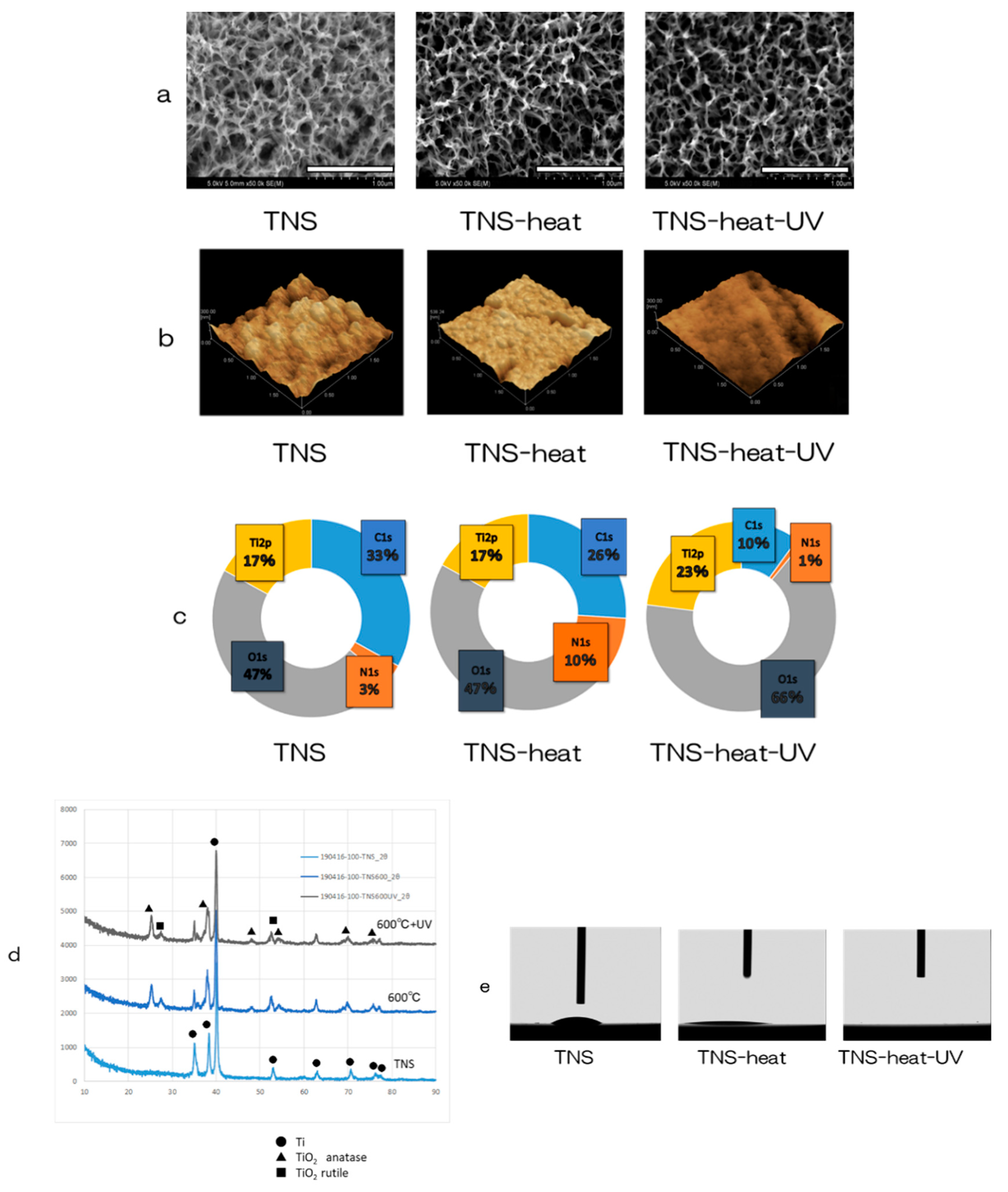 IJMS | Free Full-Text | UV Treatment Improves the Biocompatibility