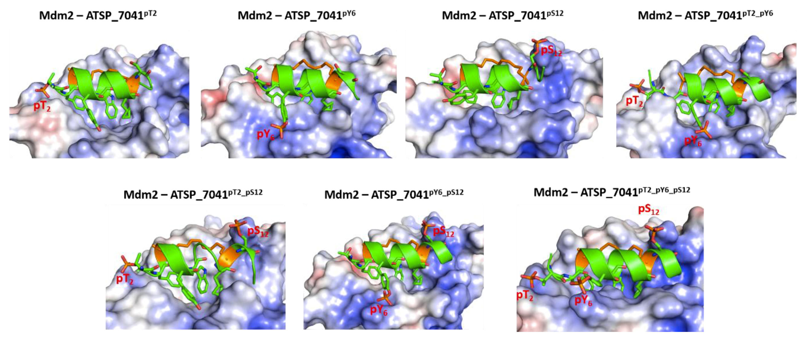 Ijms 20 05996 g008 Ijms 20 05996 g008