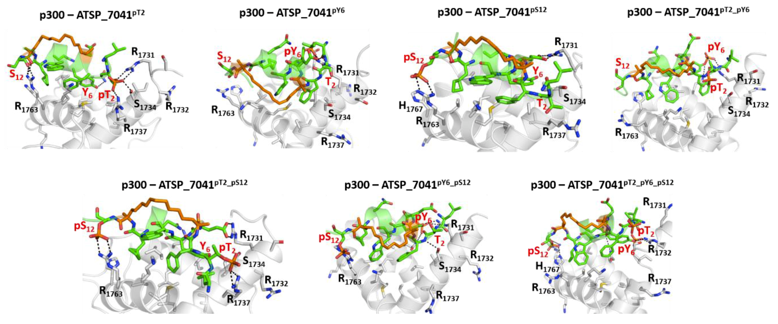 Ijms 20 05996 g011 Ijms 20 05996 g011