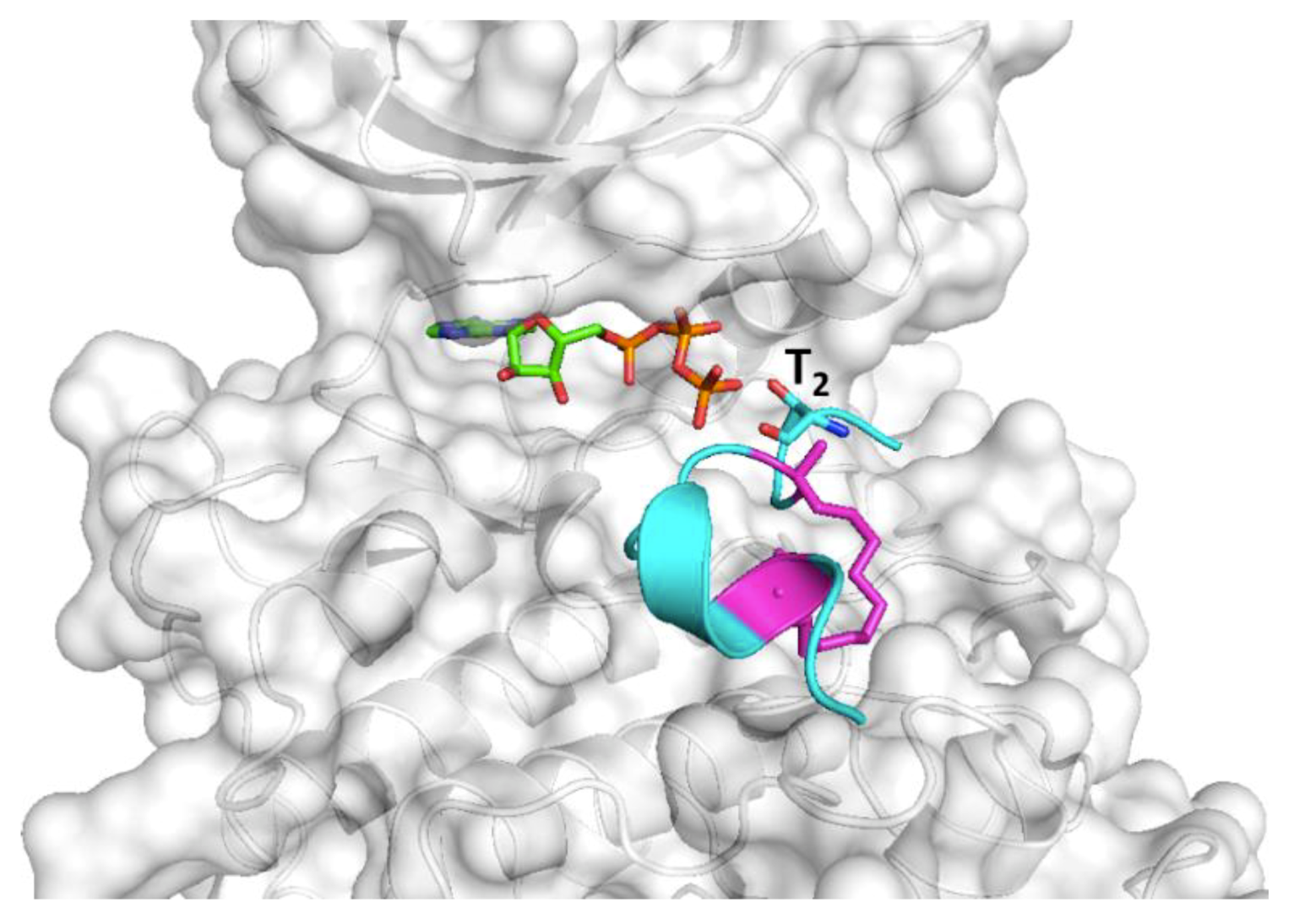 Ijms 20 05996 g012 Ijms 20 05996 g012