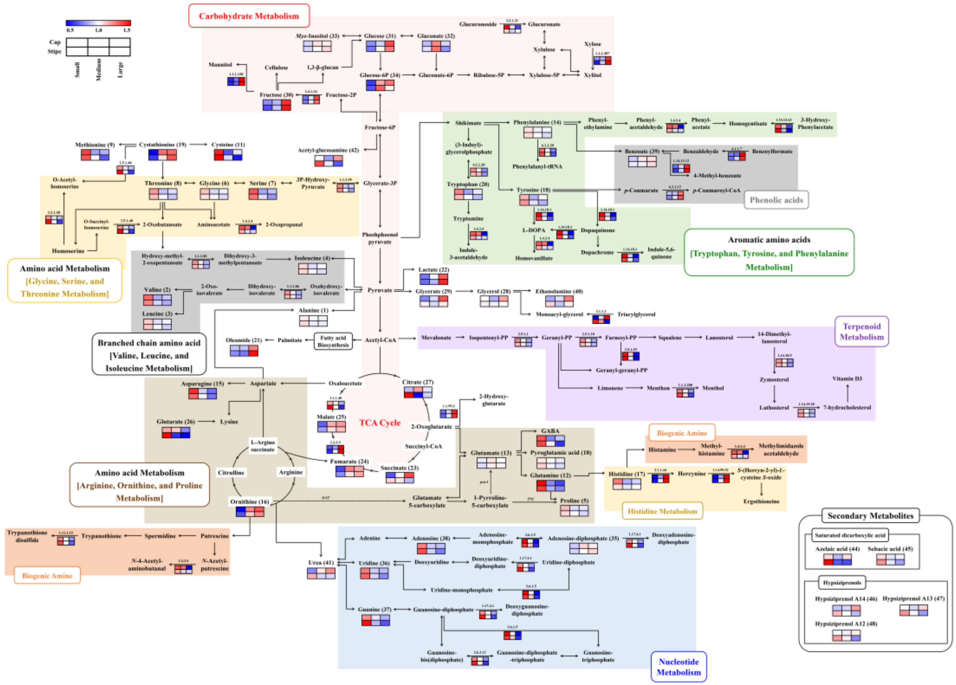 Ijms 20 06007 g003 Ijms 20 06007 g003