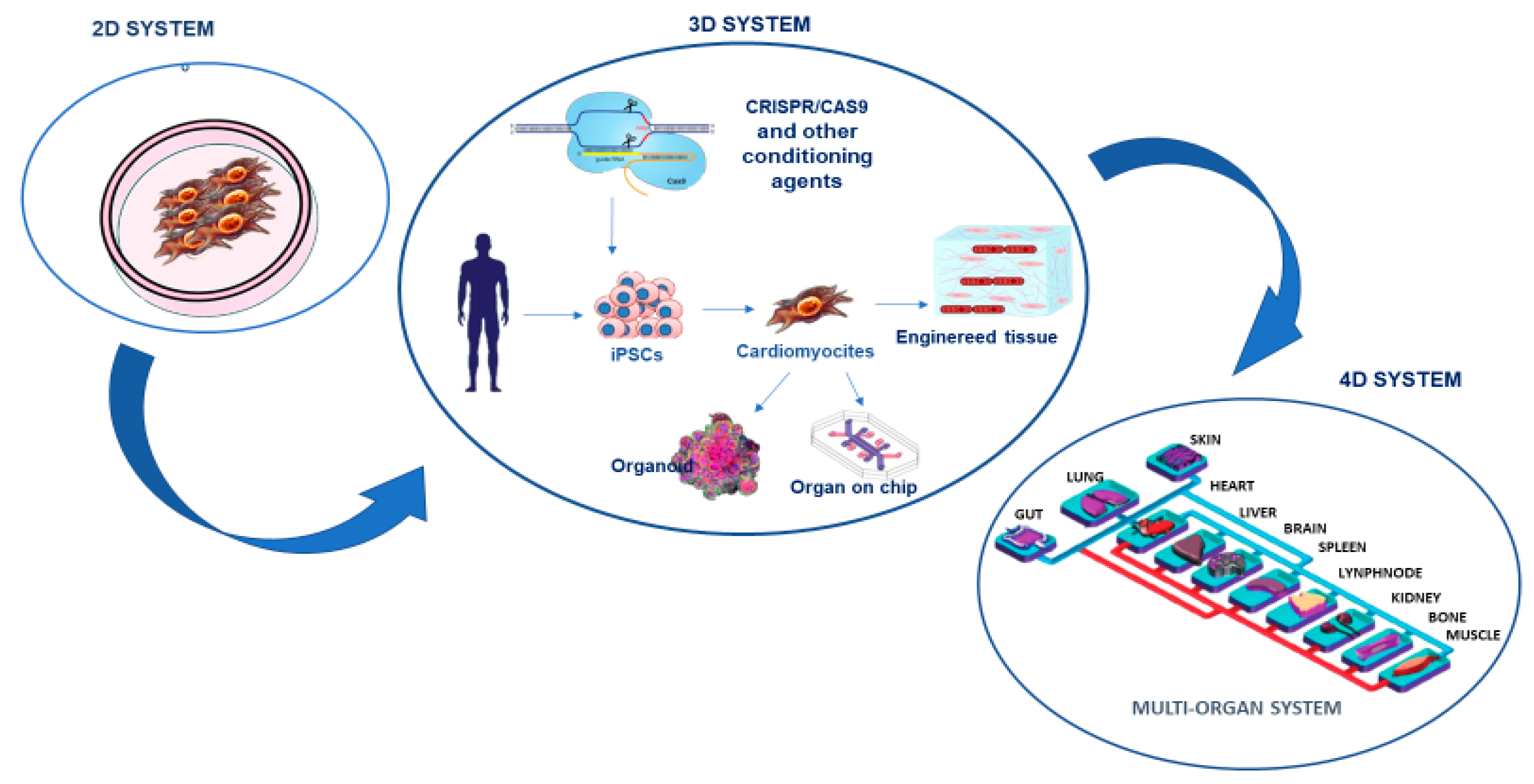 Ijms 20 06015 g002 Ijms 20 06015 g002