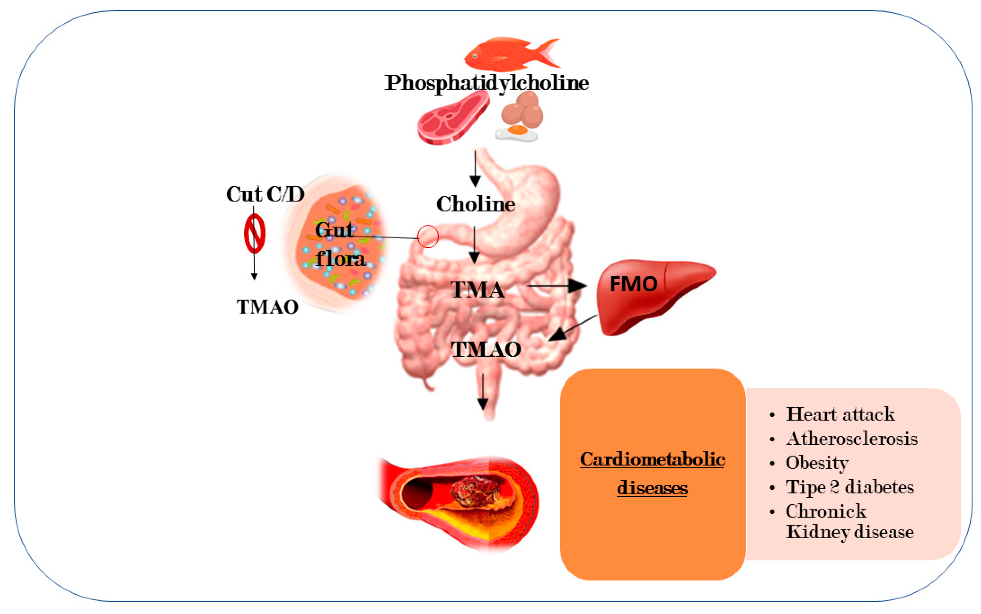 Ijms 20 06015 g004 Ijms 20 06015 g004