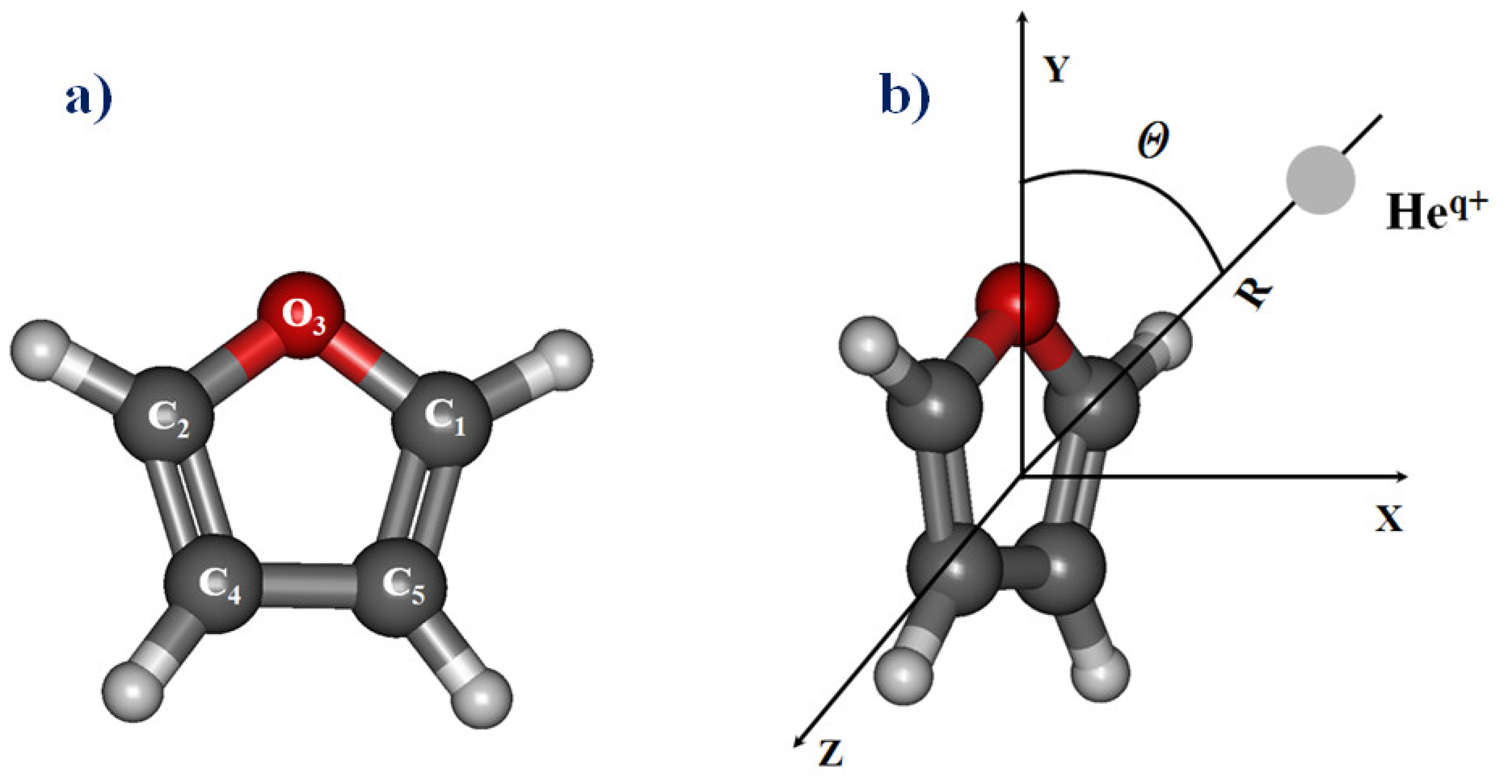 Ijms 20 06022 g009 Ijms 20 06022 g009