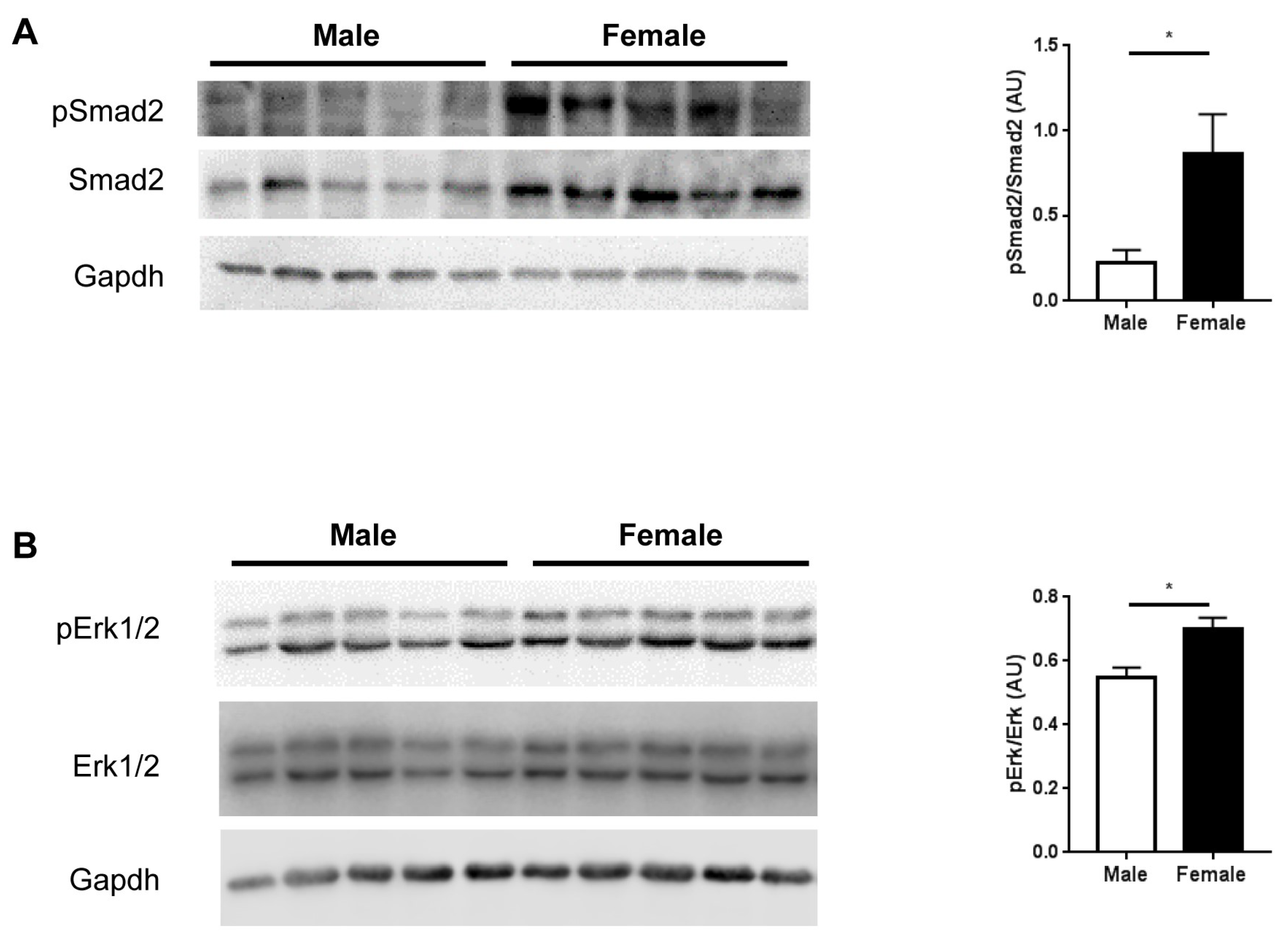 Ijms 20 06059 g005 Ijms 20 06059 g005