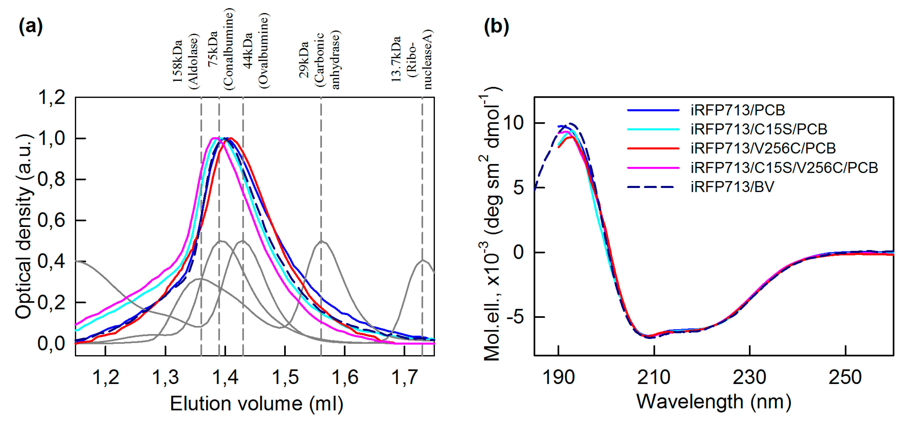 Ijms 20 06067 g003 Ijms 20 06067 g003