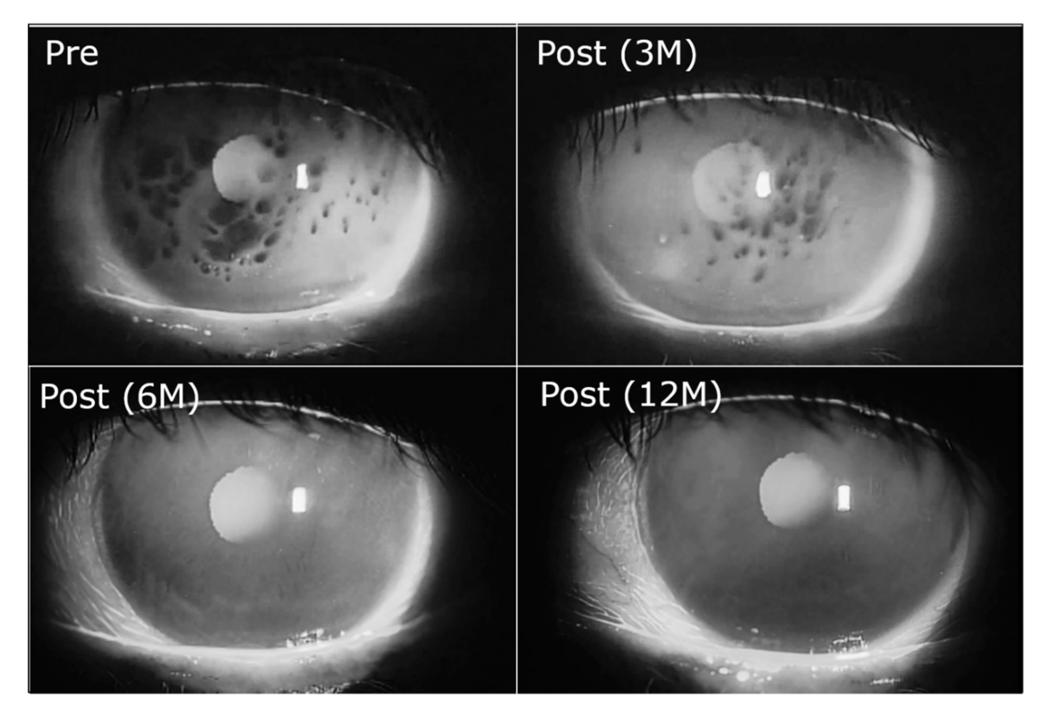 Ijms 20 06132 g004 Ijms 20 06132 g004