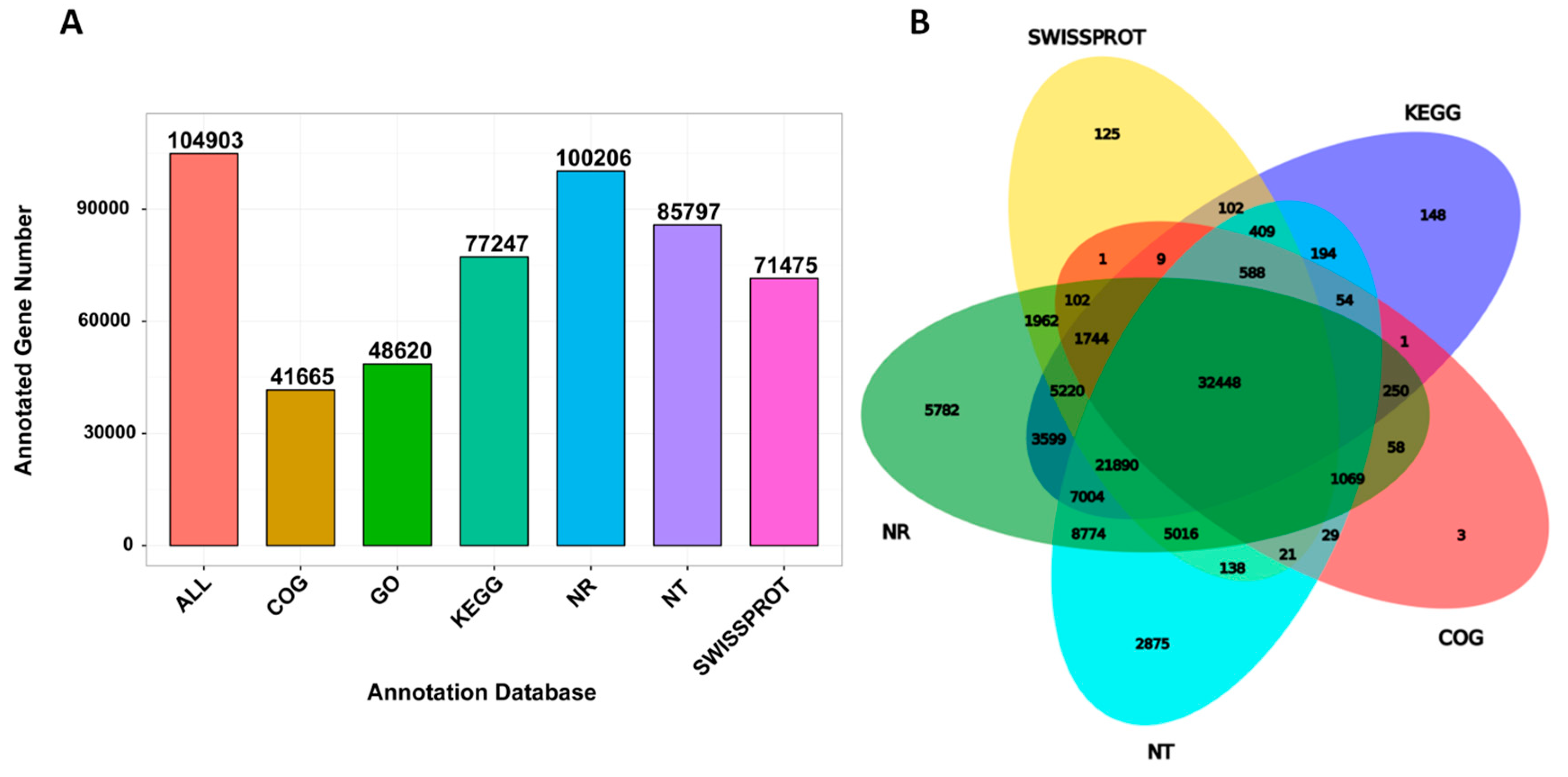 Ijms 20 06185 g003 Ijms 20 06185 g003