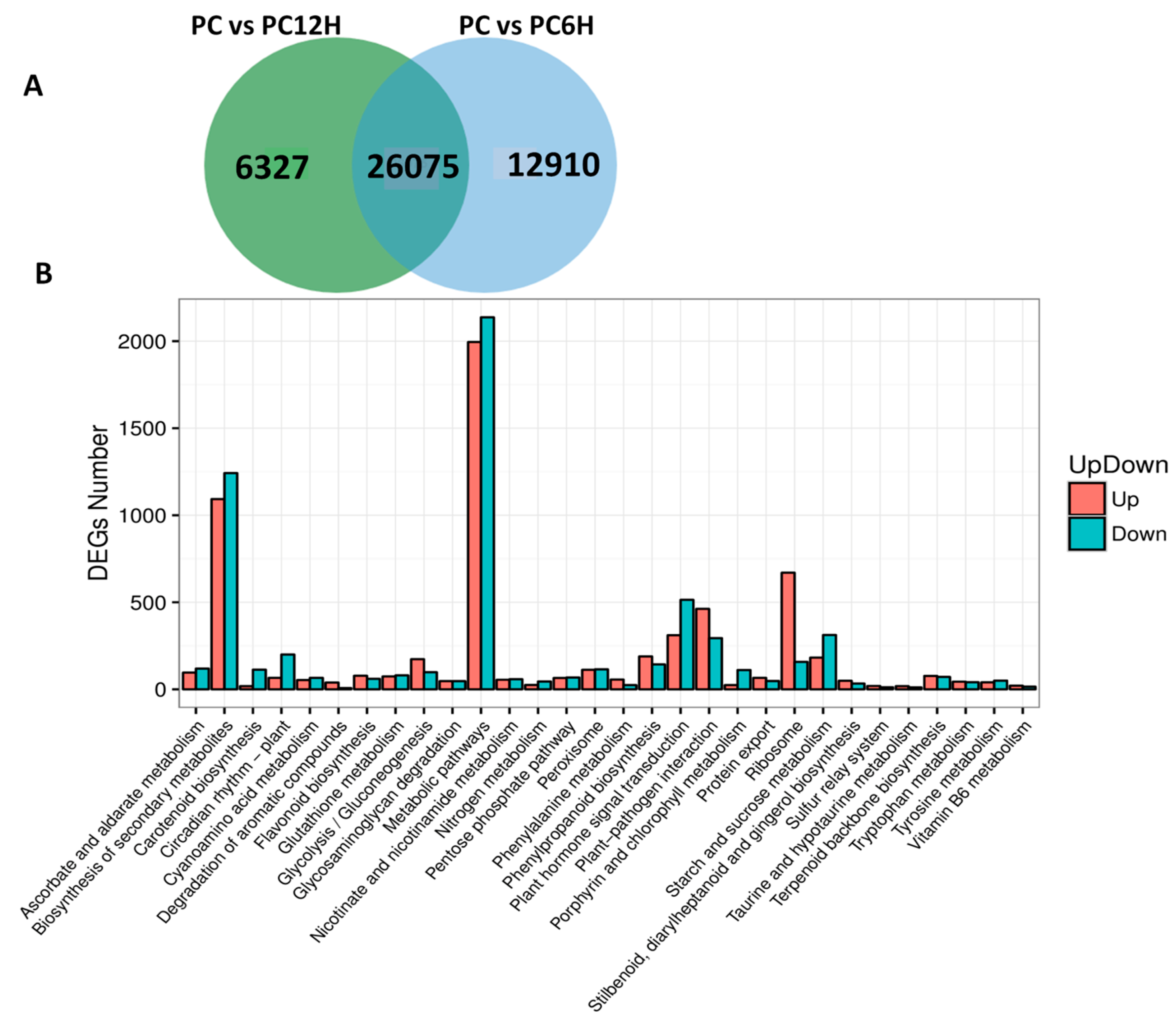 Ijms 20 06185 g005 Ijms 20 06185 g005