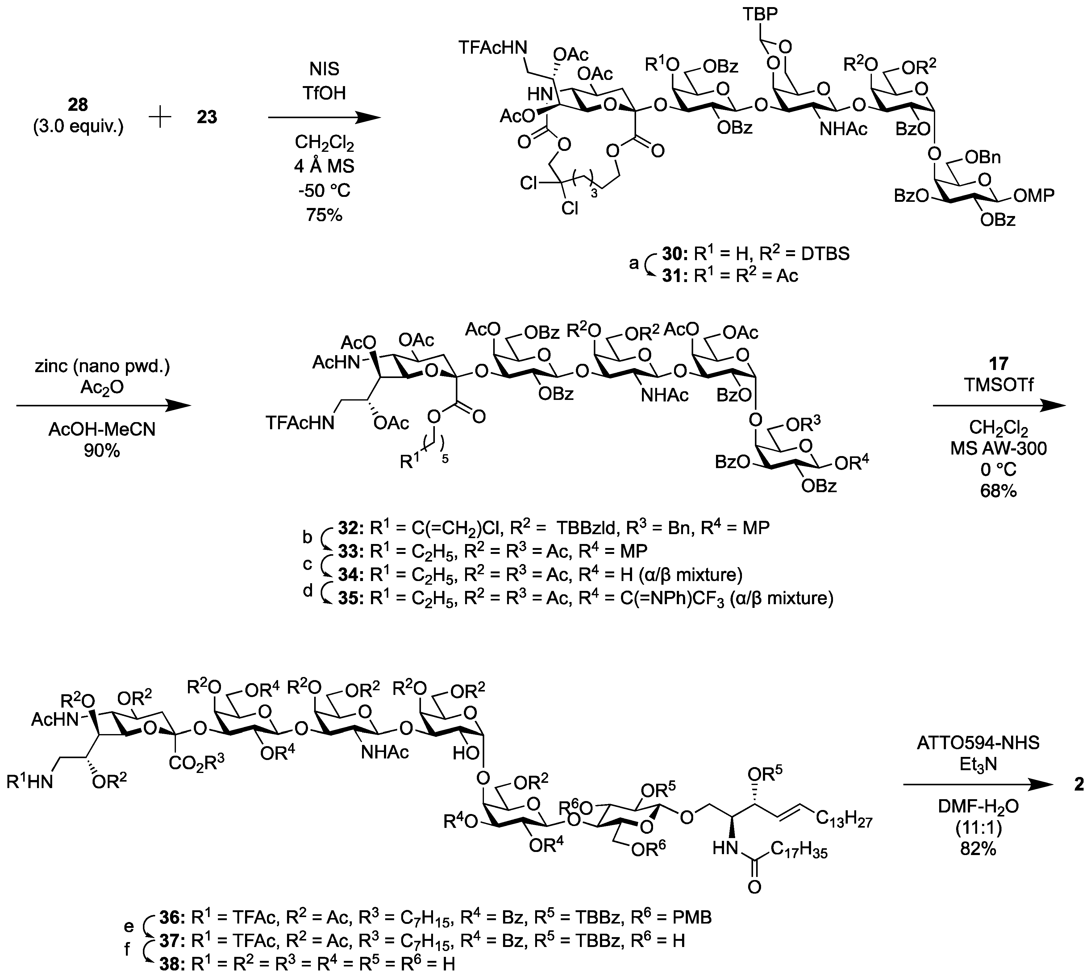 Ijms 20 06187 sch005