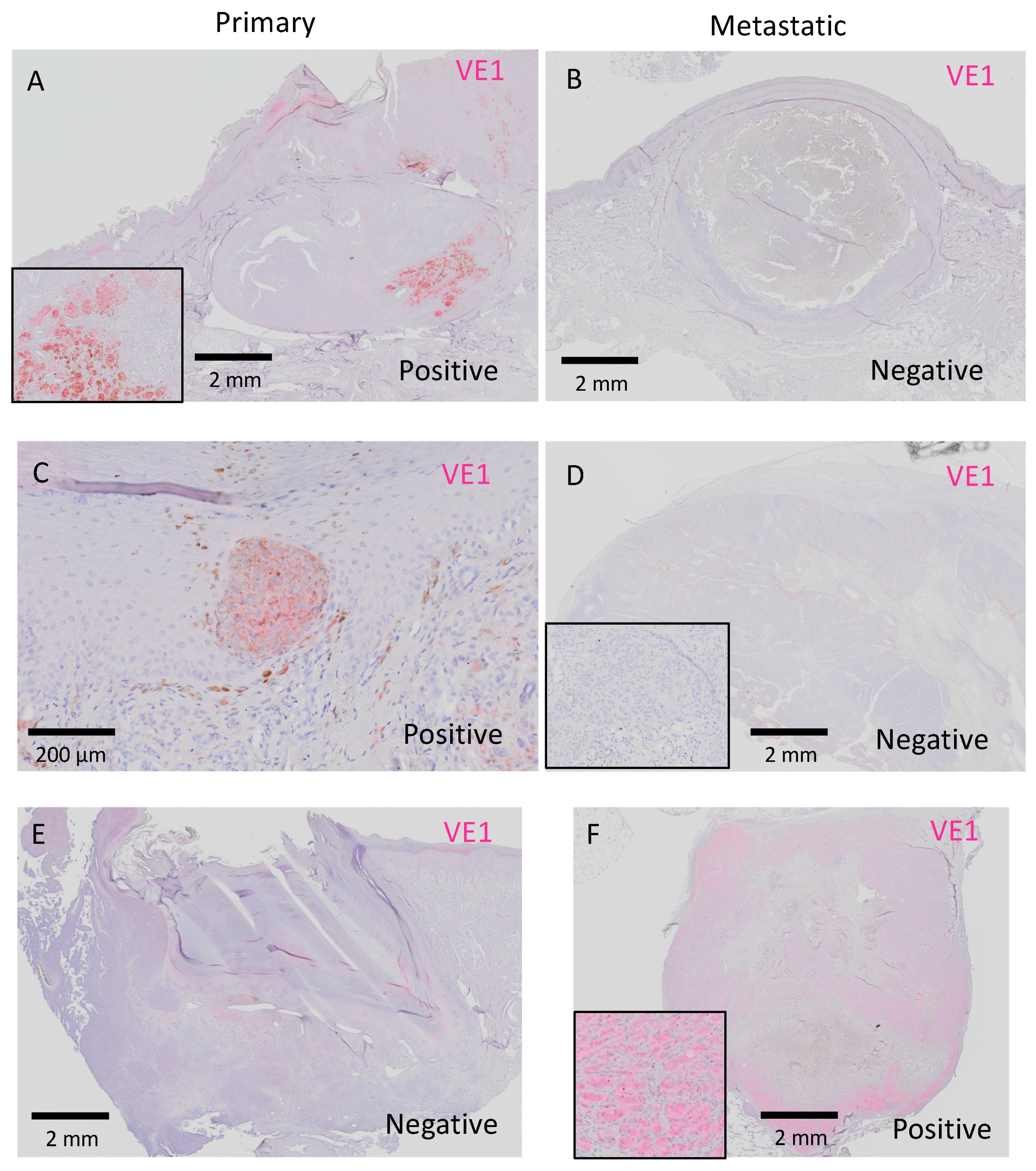 Ijms 20 06191 g005 Ijms 20 06191 g005