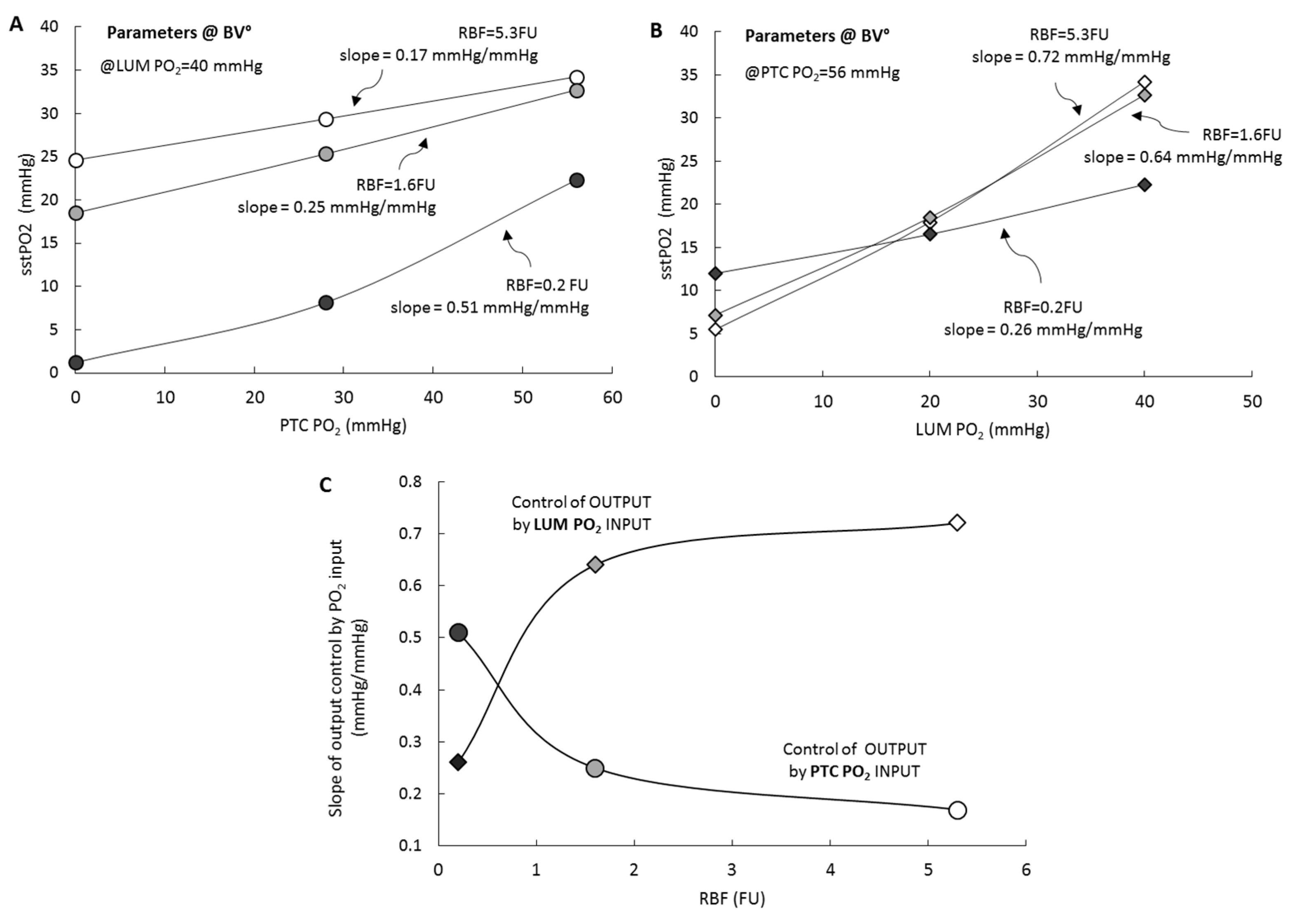 Ijms 20 06246 g004 Ijms 20 06246 g004