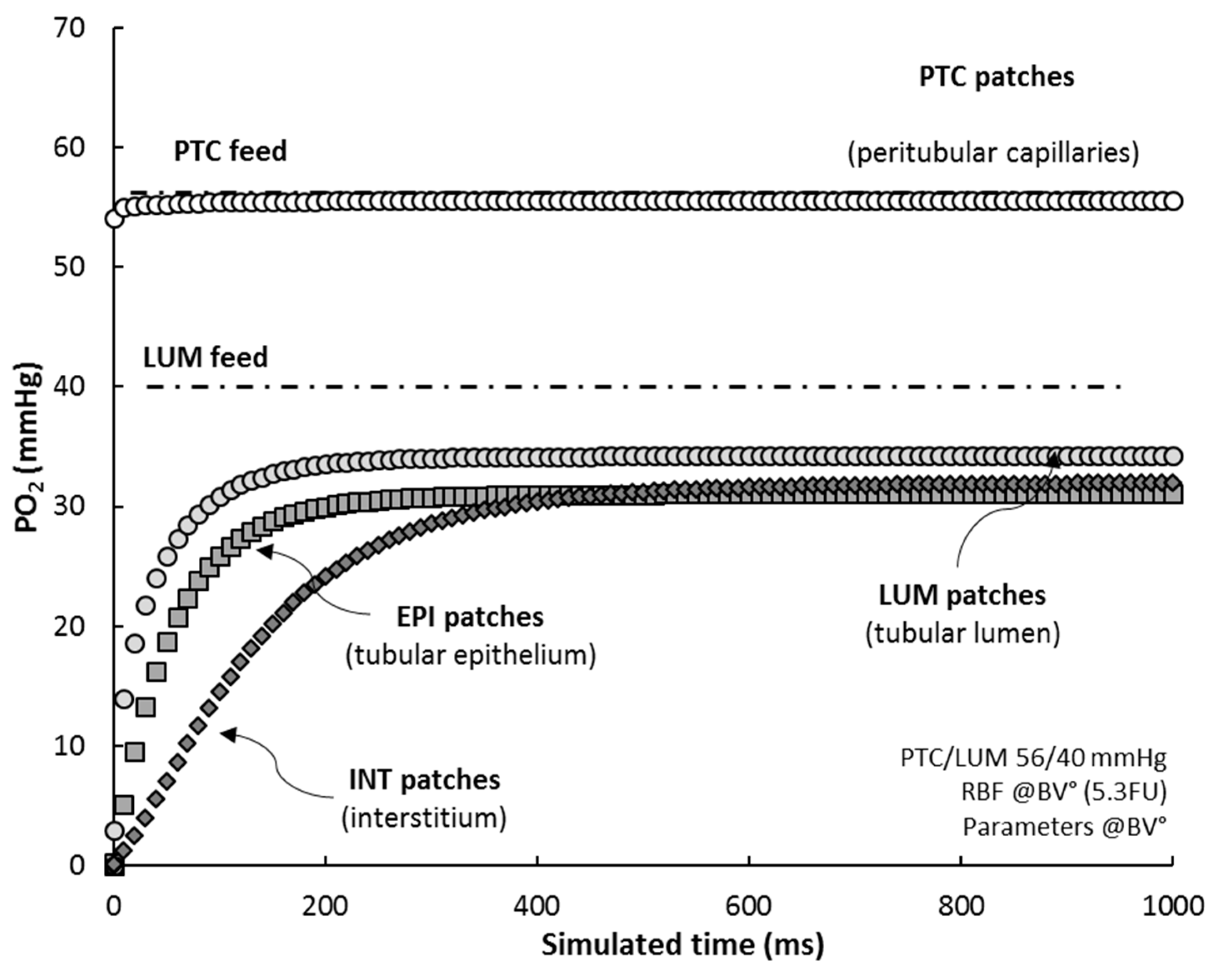 Ijms 20 06246 g005 Ijms 20 06246 g005