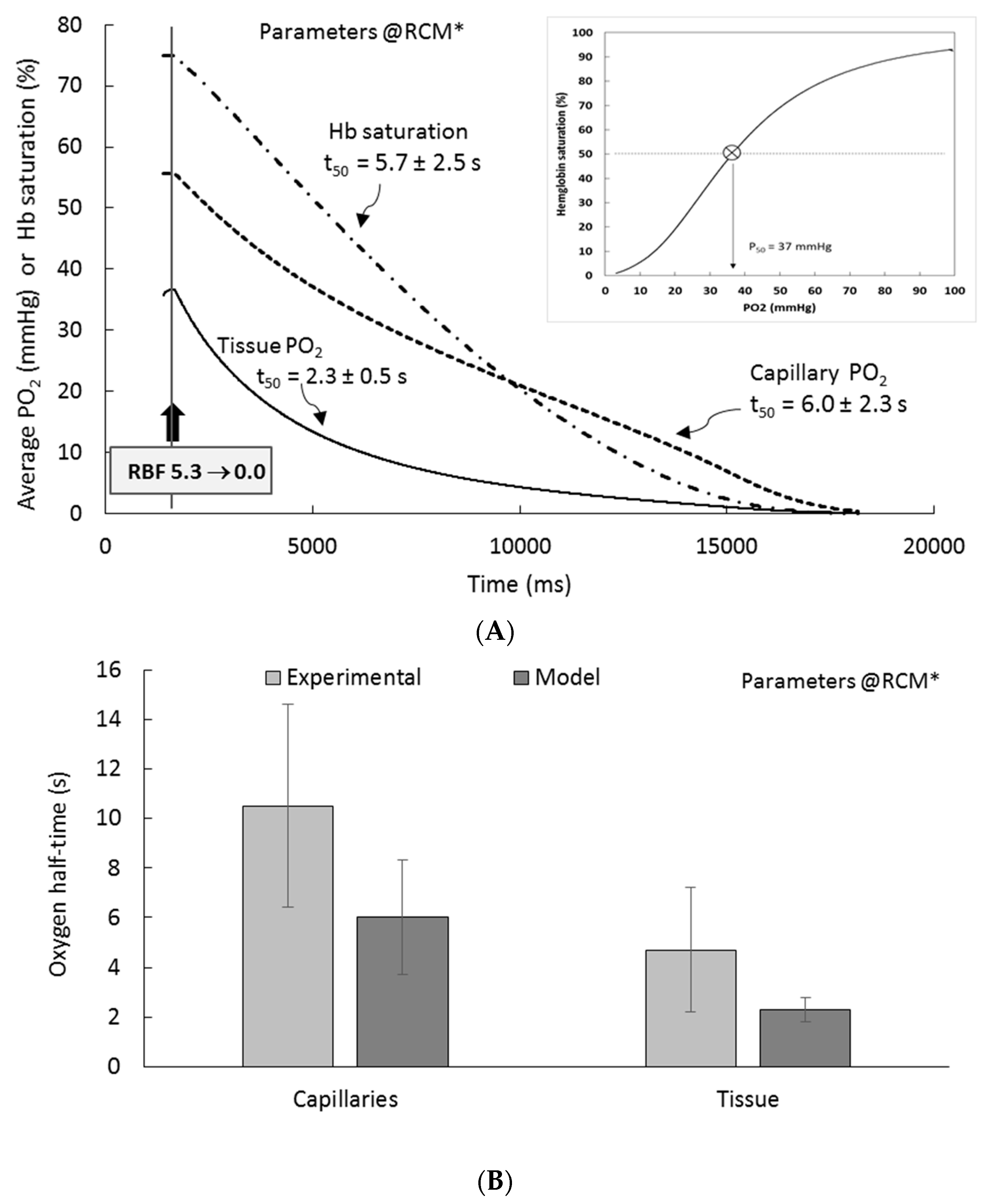 Ijms 20 06246 g008 Ijms 20 06246 g008