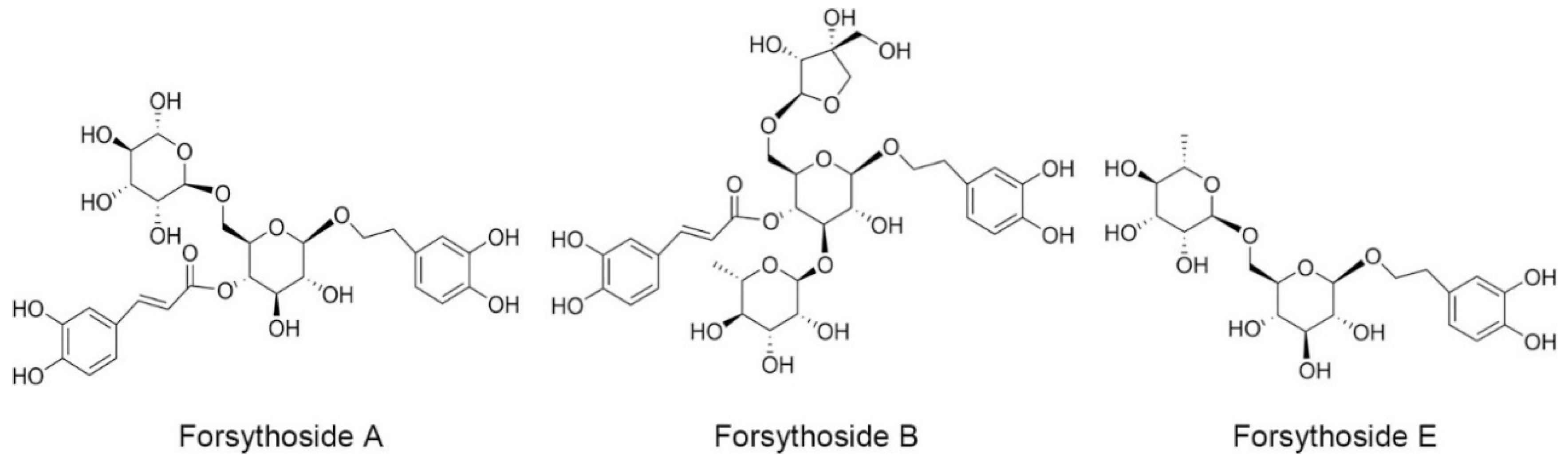 IJMS | Free Full-Text | Forsythoside A And Forsythoside B Contribute To ...