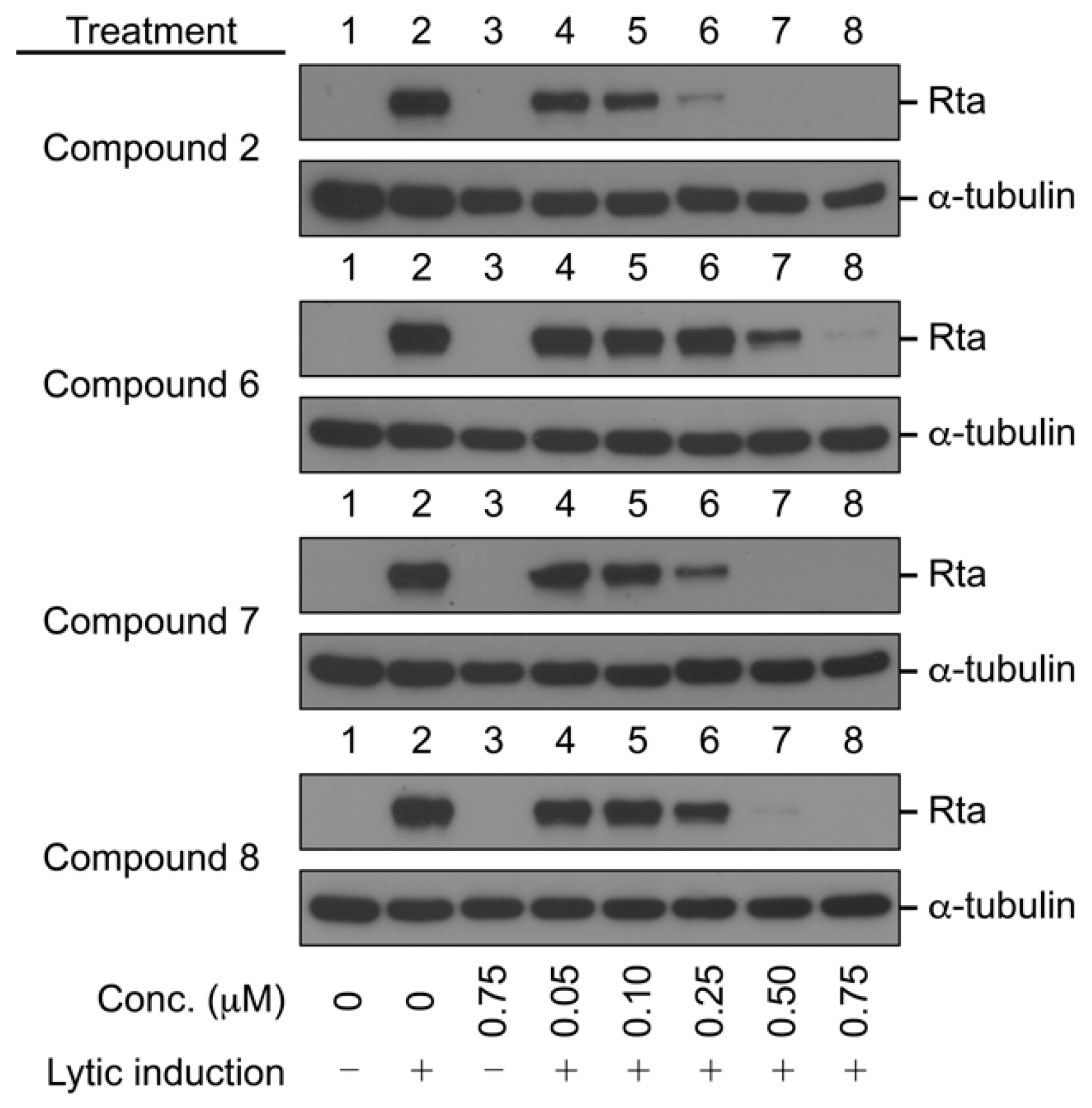 Ijms 20 06269 g002 Ijms 20 06269 g002