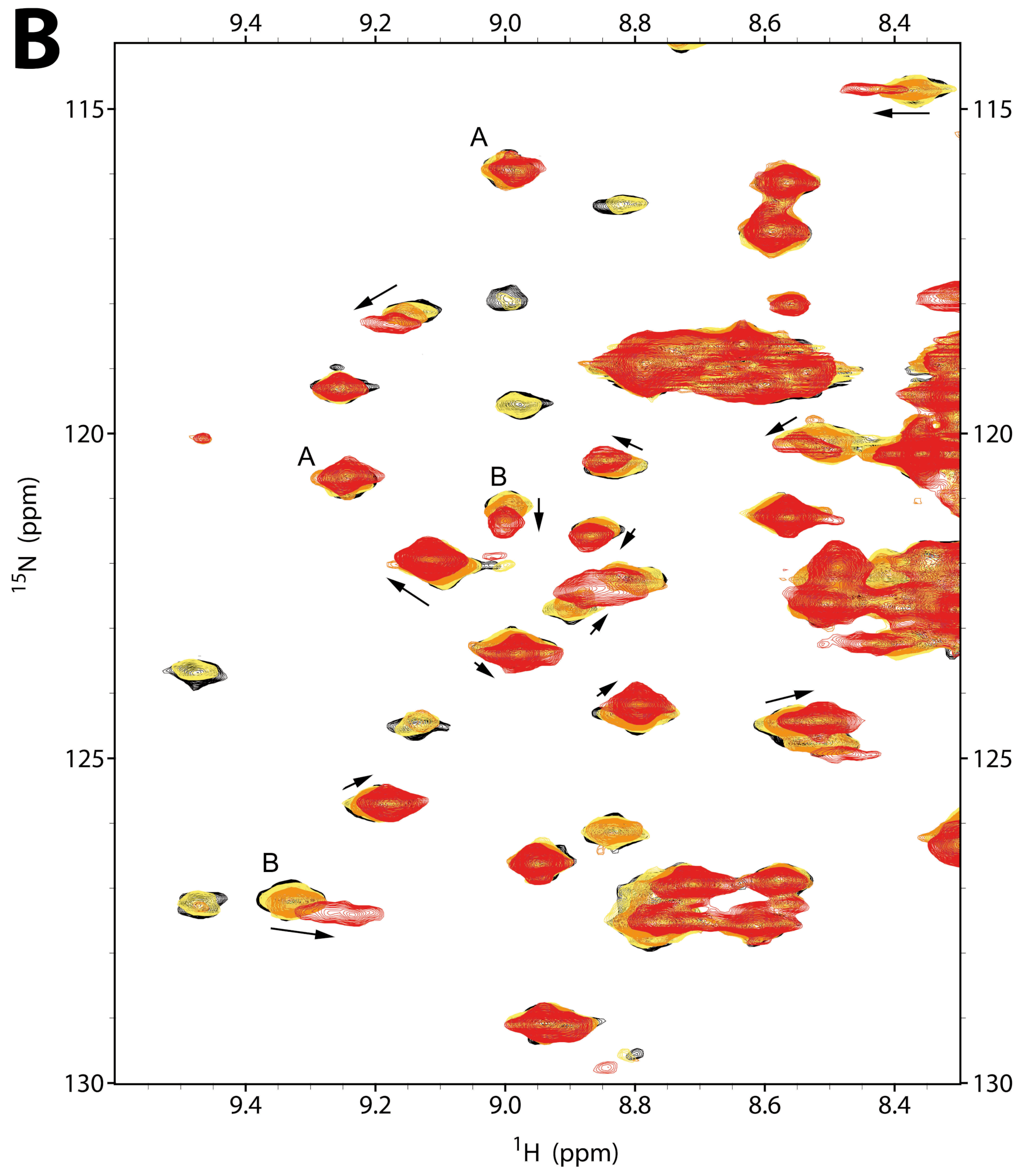 Ijms 20 06279 g002b Ijms 20 06279 g002b