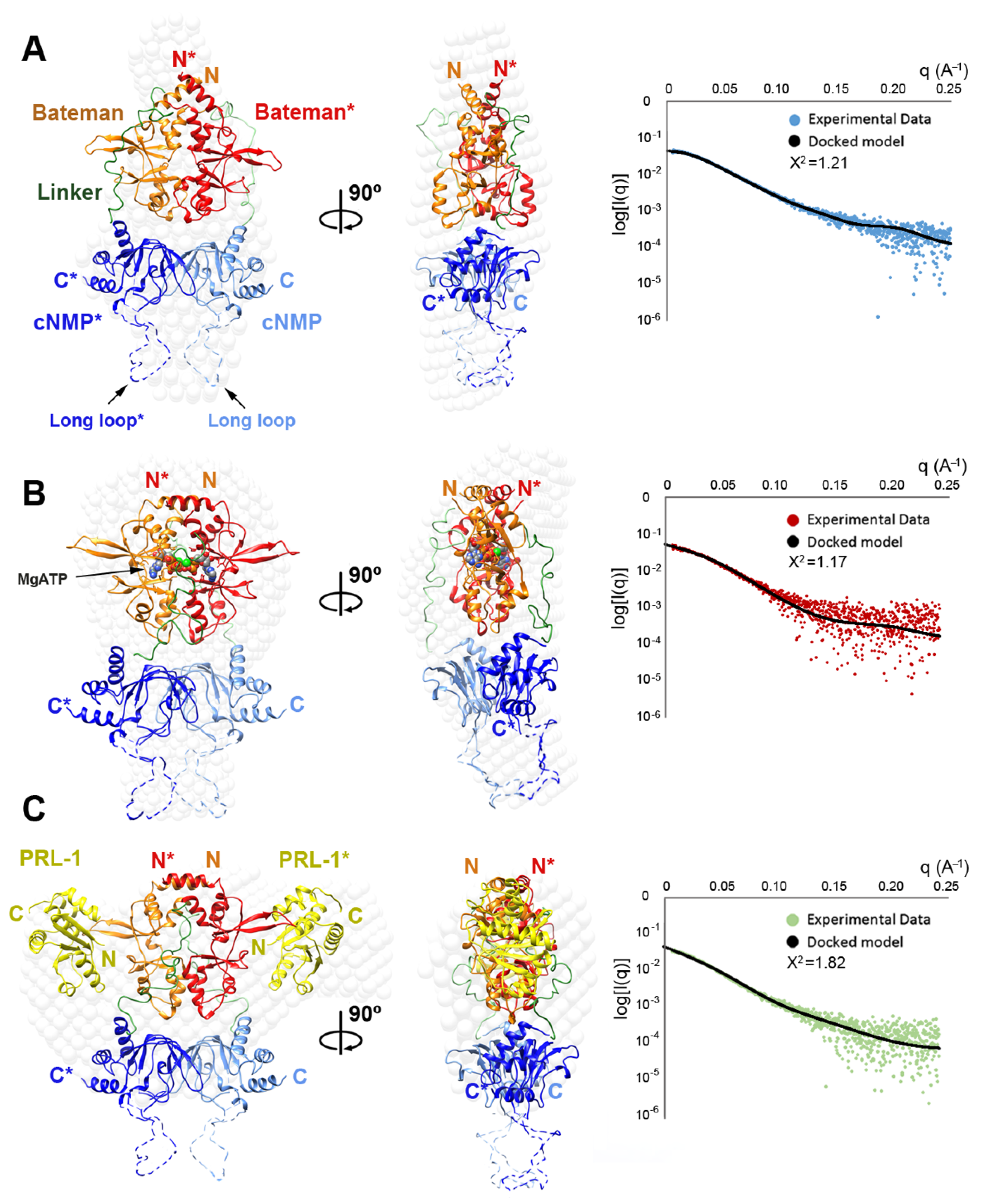 Ijms 20 06279 g005 Ijms 20 06279 g005