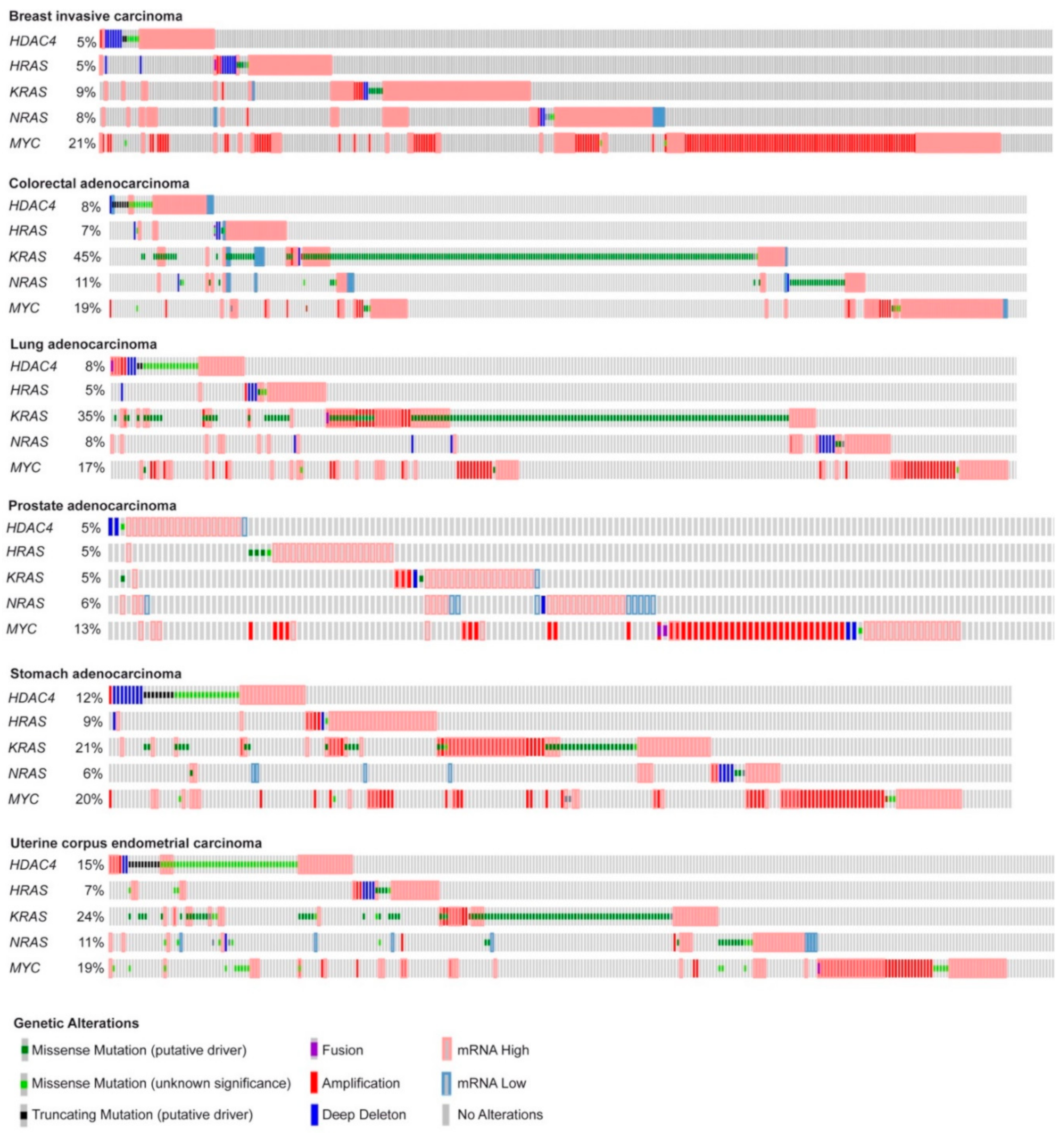 Ijms 20 06283 g001 Ijms 20 06283 g001