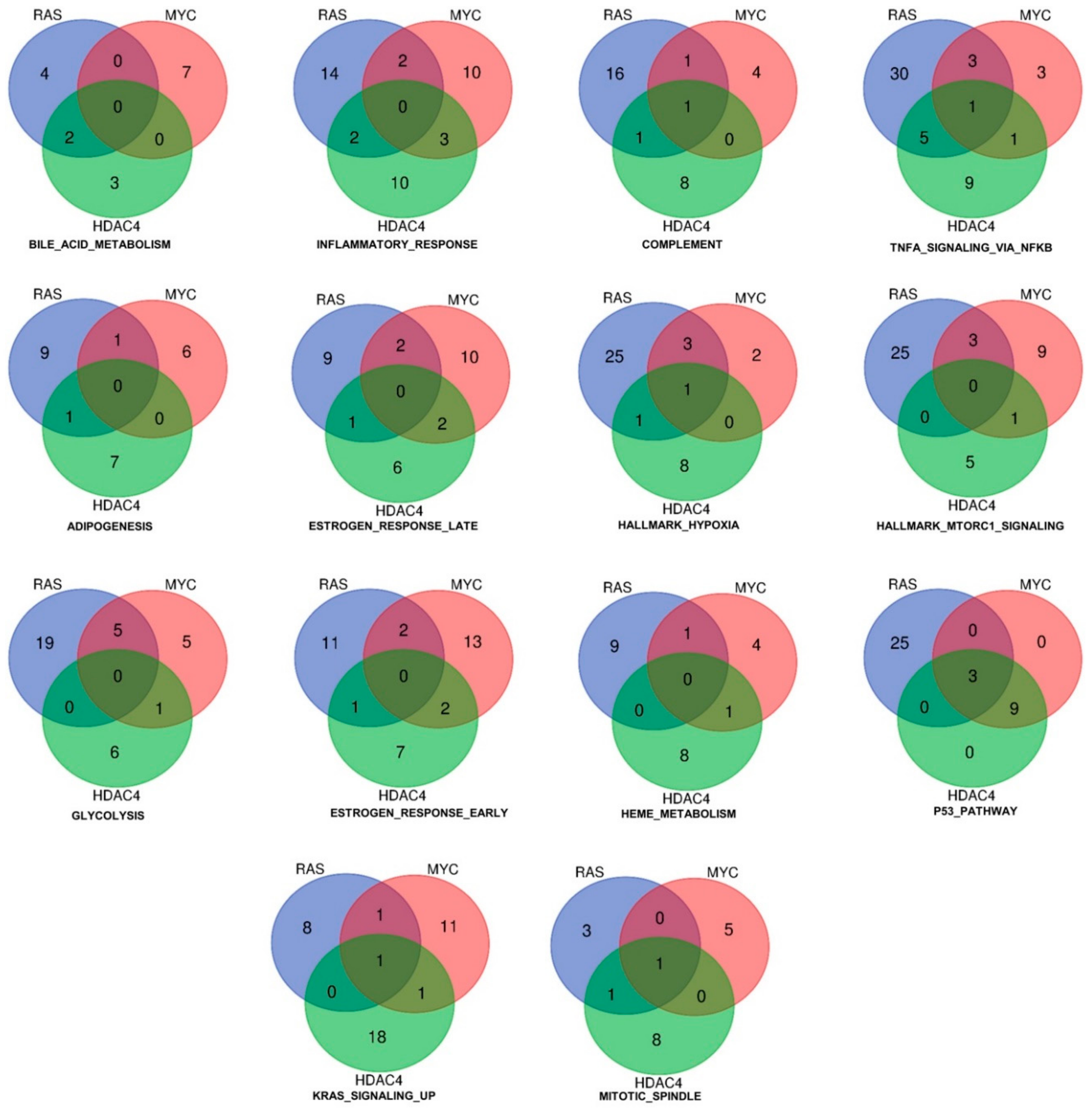 Ijms 20 06283 g003 Ijms 20 06283 g003