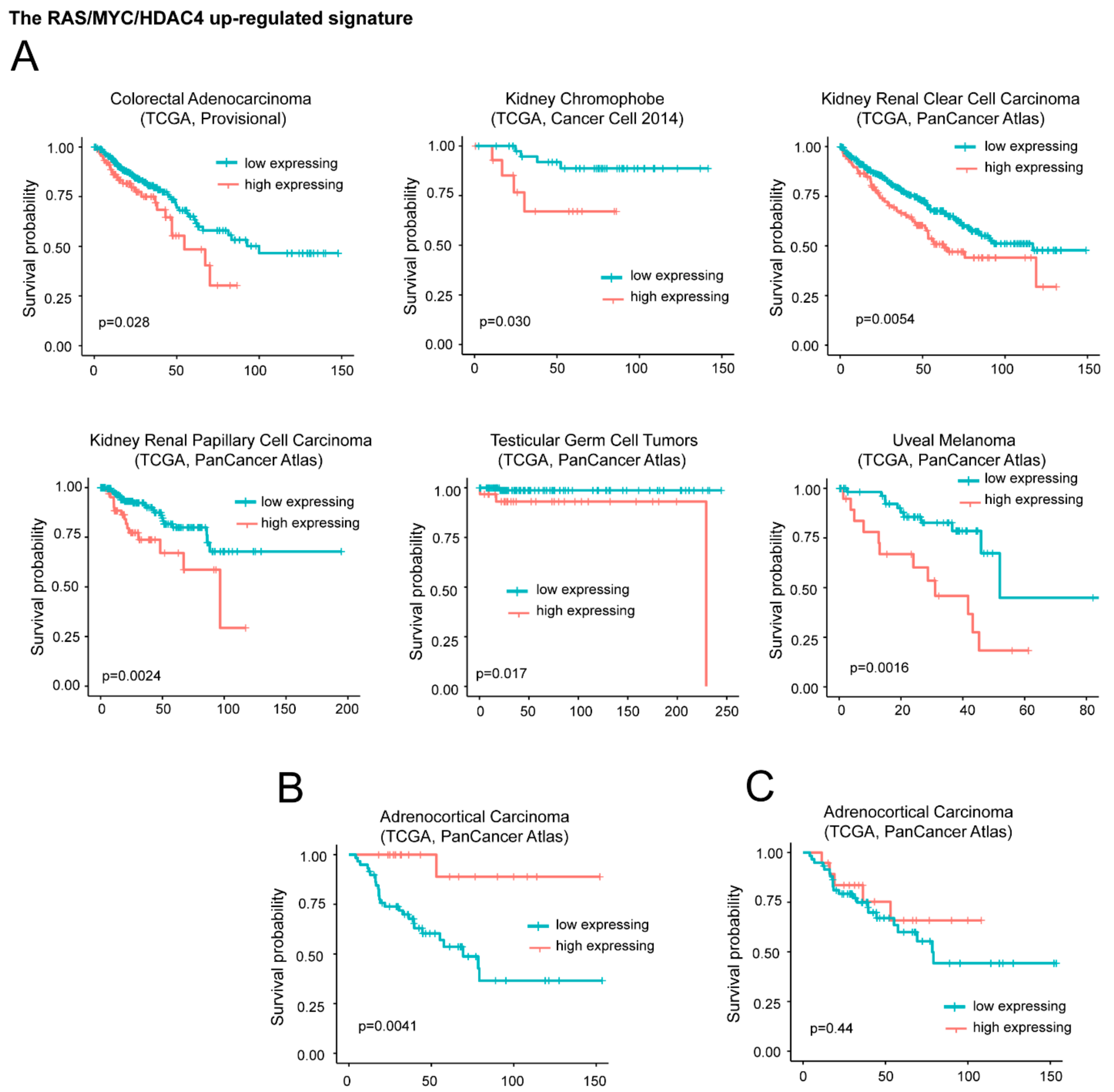 Ijms 20 06283 g005 Ijms 20 06283 g005