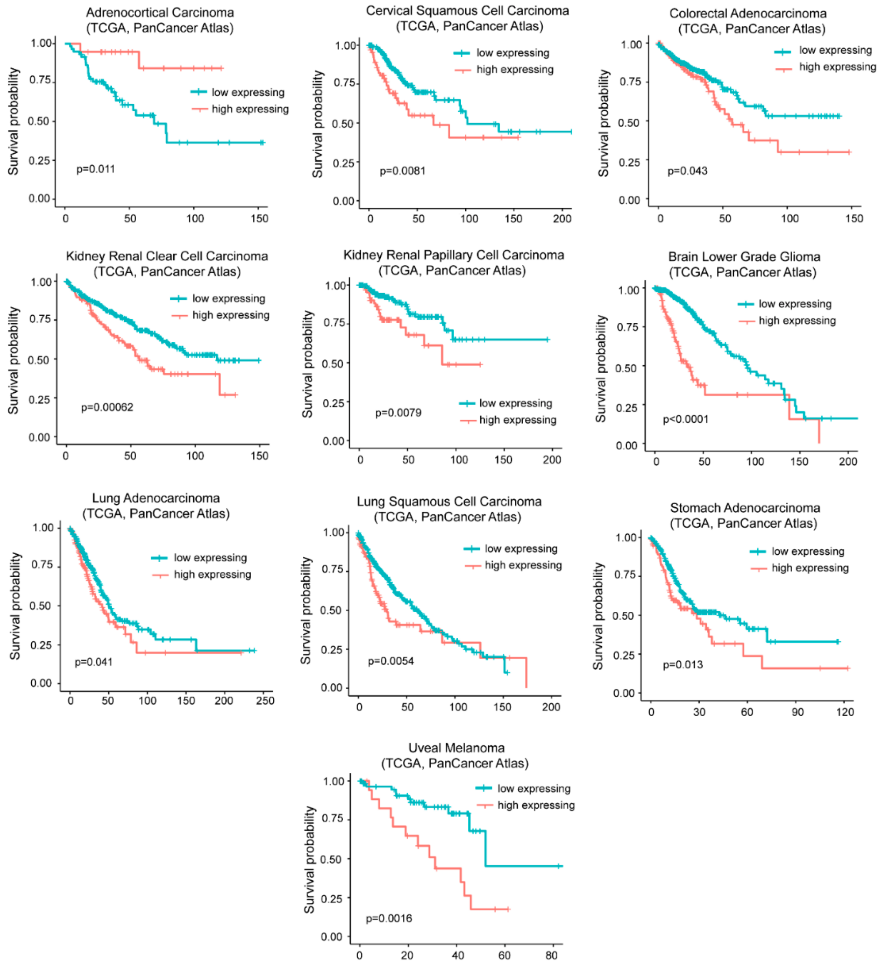 Ijms 20 06283 g006 Ijms 20 06283 g006