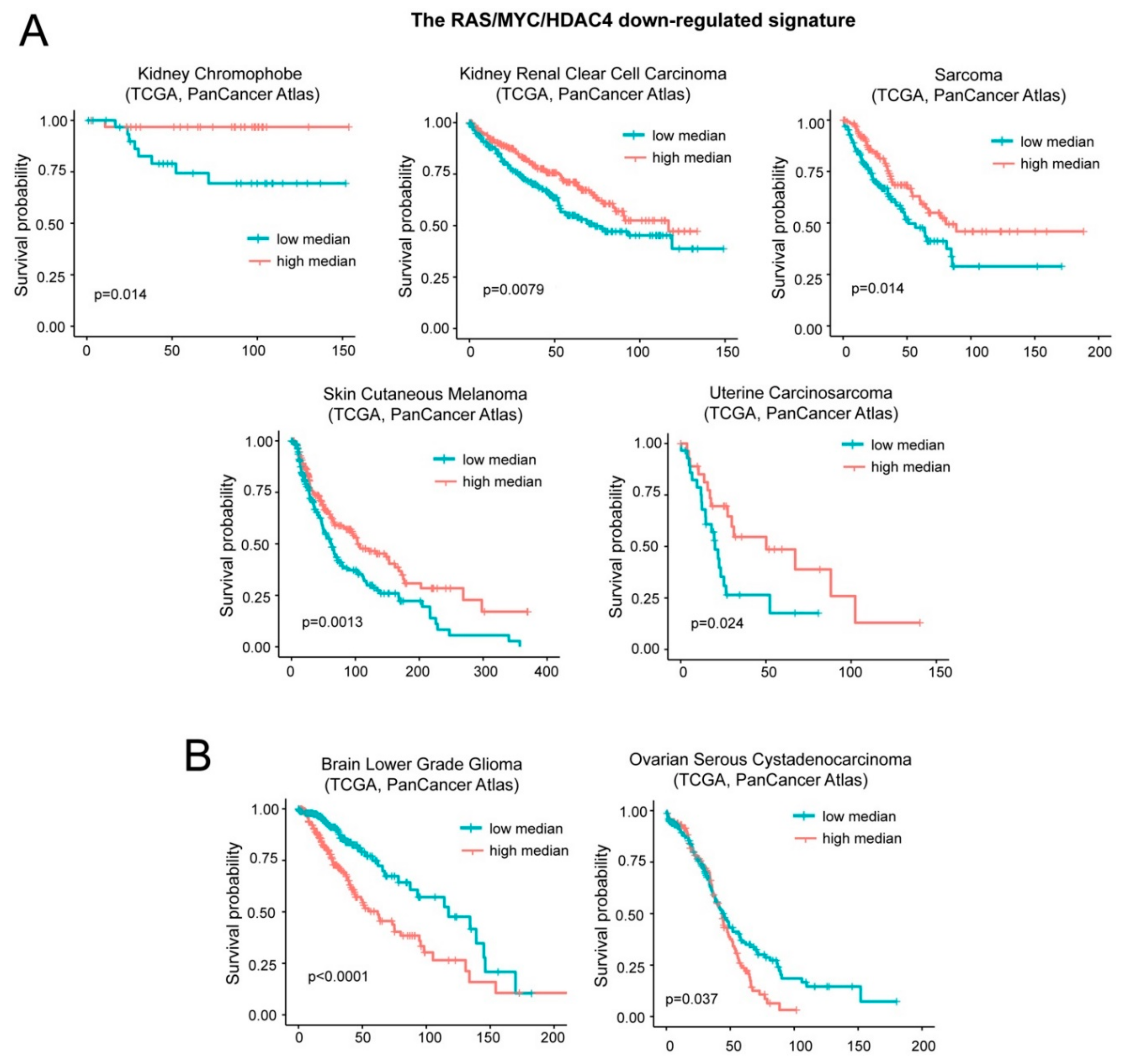 Ijms 20 06283 g007 Ijms 20 06283 g007
