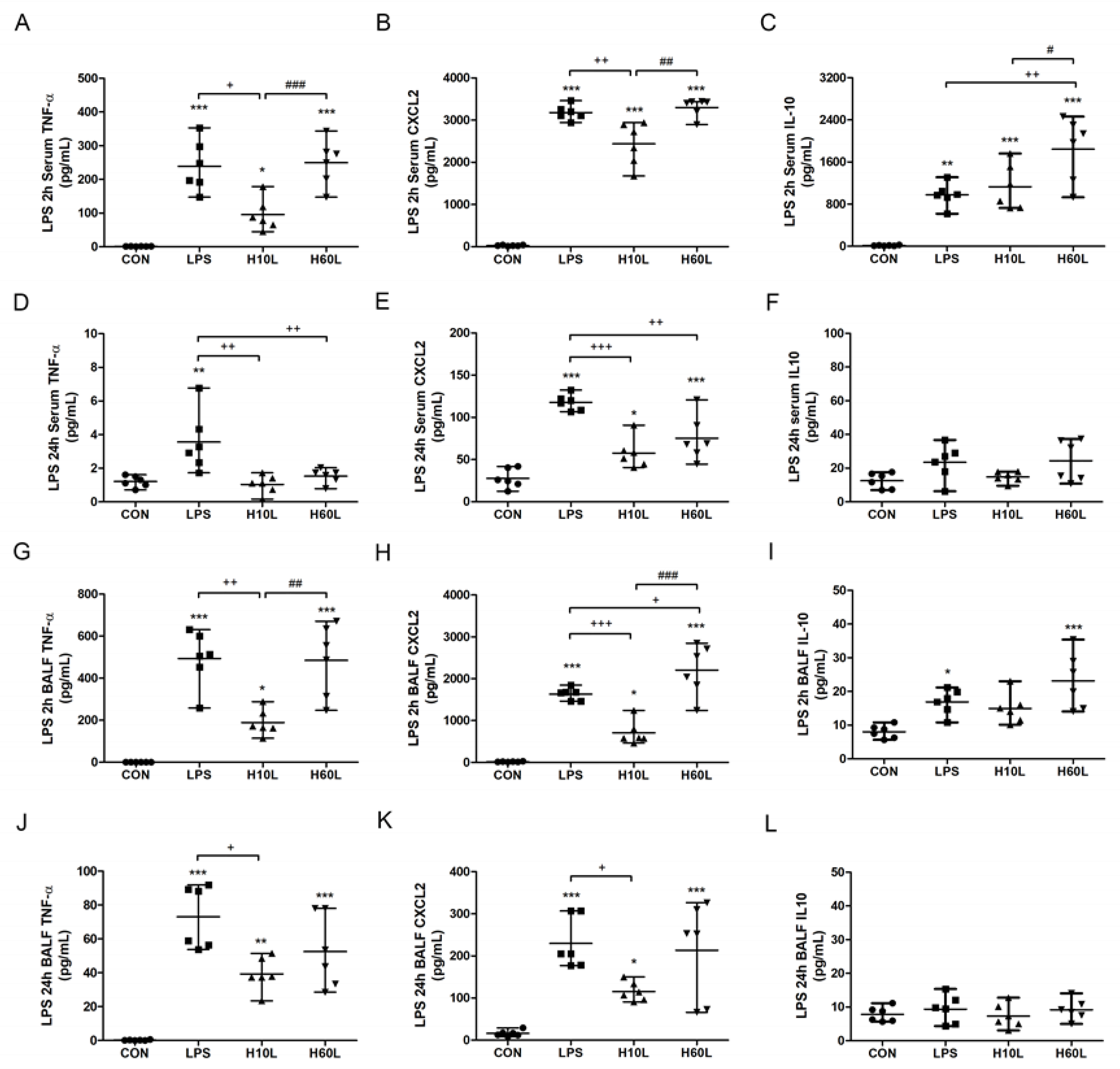 Ijms 20 06293 g003 Ijms 20 06293 g003
