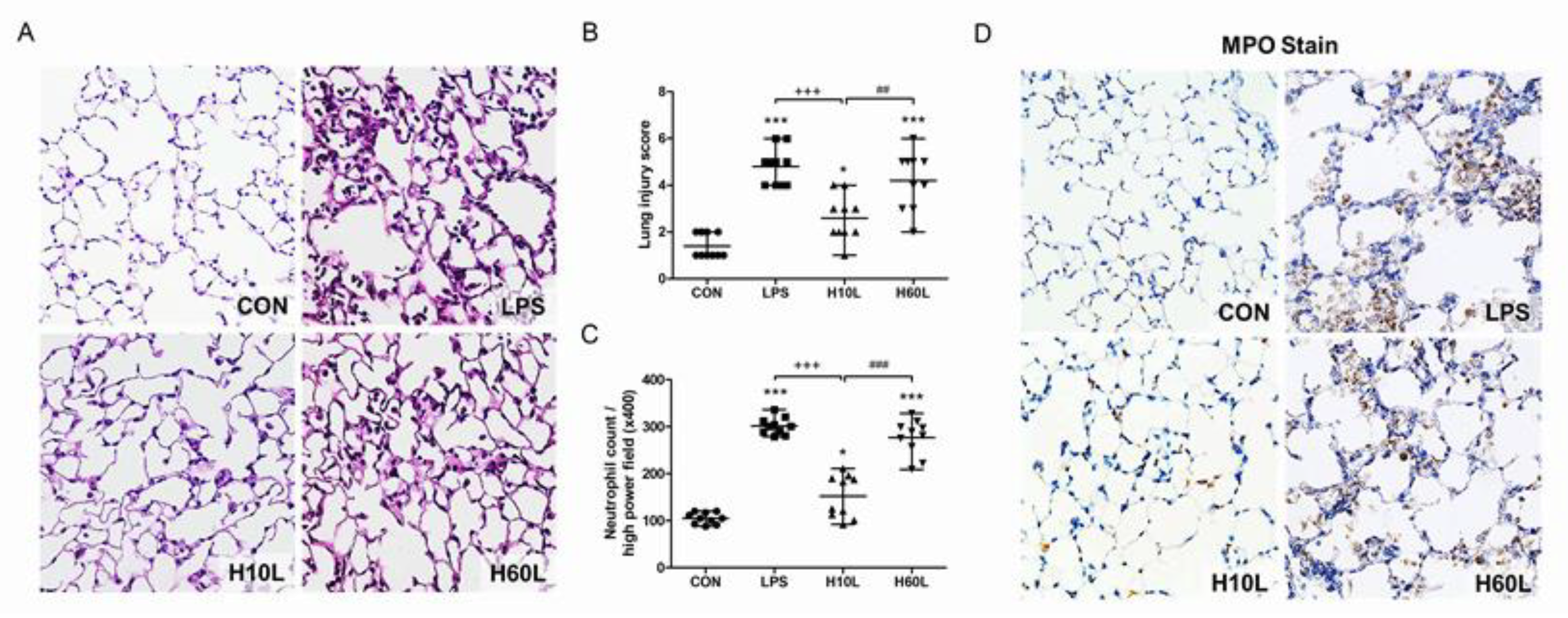 Ijms 20 06293 g004 Ijms 20 06293 g004