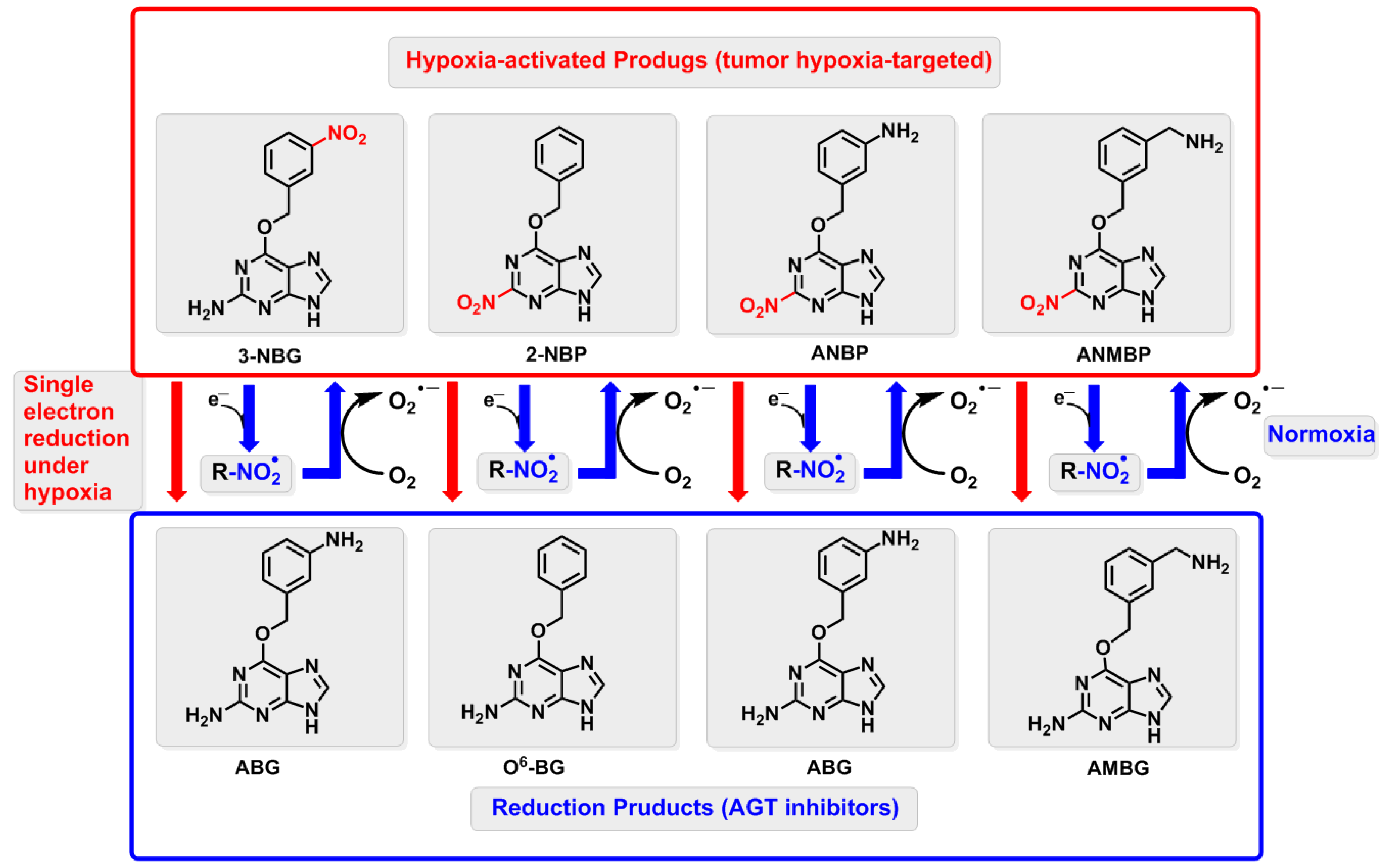 Ijms 20 06308 g001 Ijms 20 06308 g001