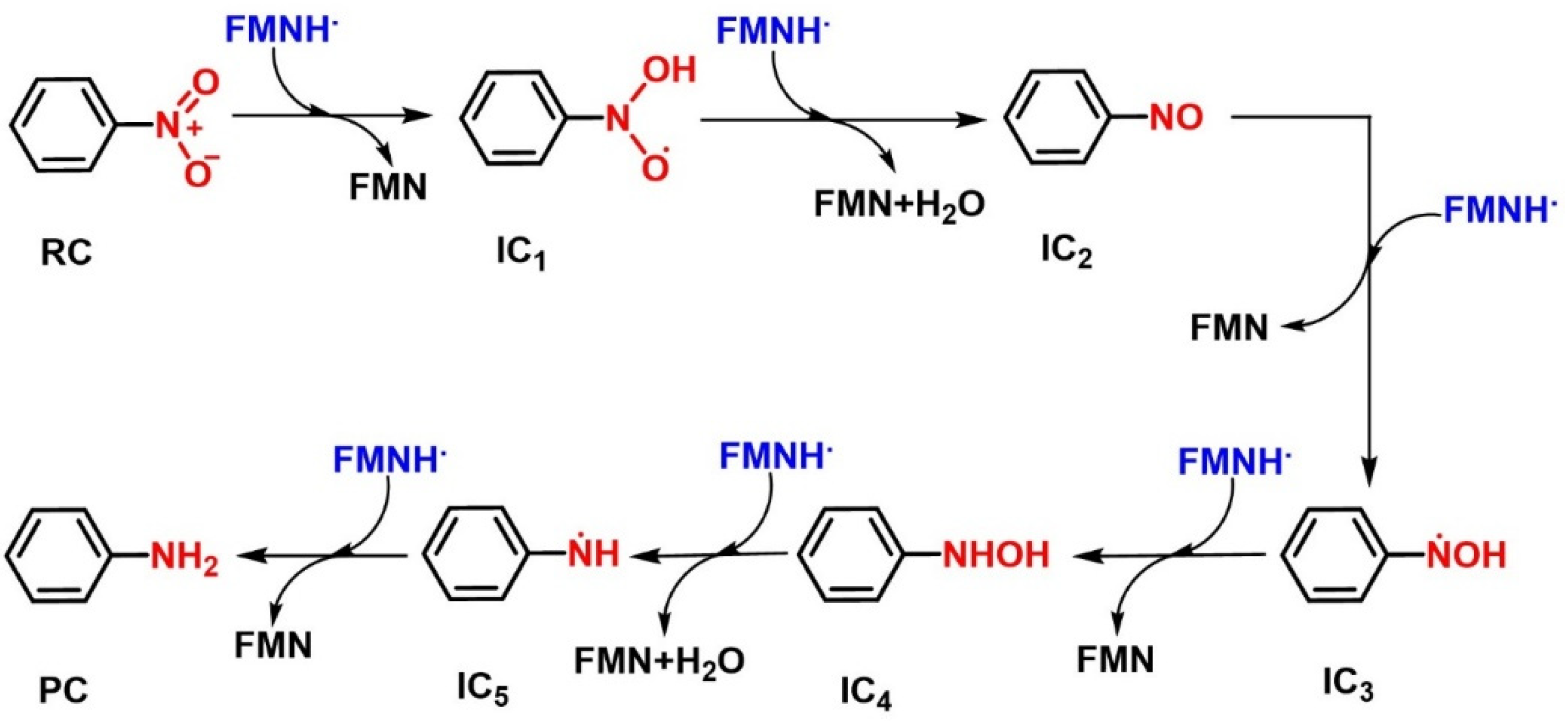 Ijms 20 06308 g004 Ijms 20 06308 g004
