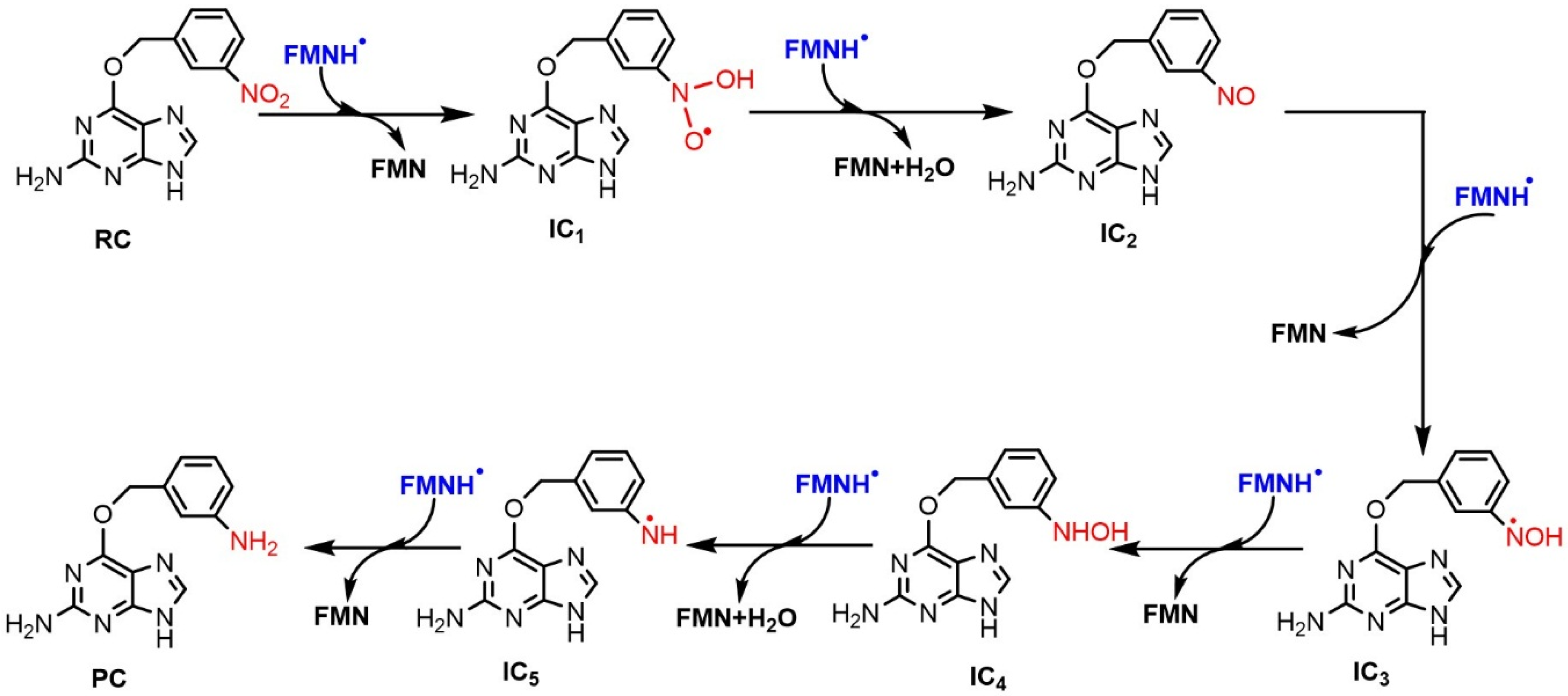 Ijms 20 06308 g006 Ijms 20 06308 g006