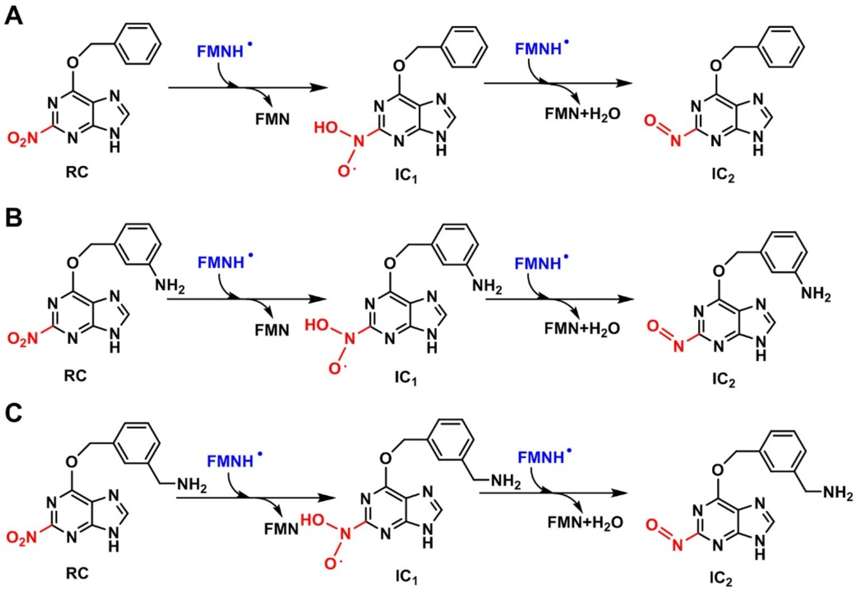 Ijms 20 06308 g008 Ijms 20 06308 g008