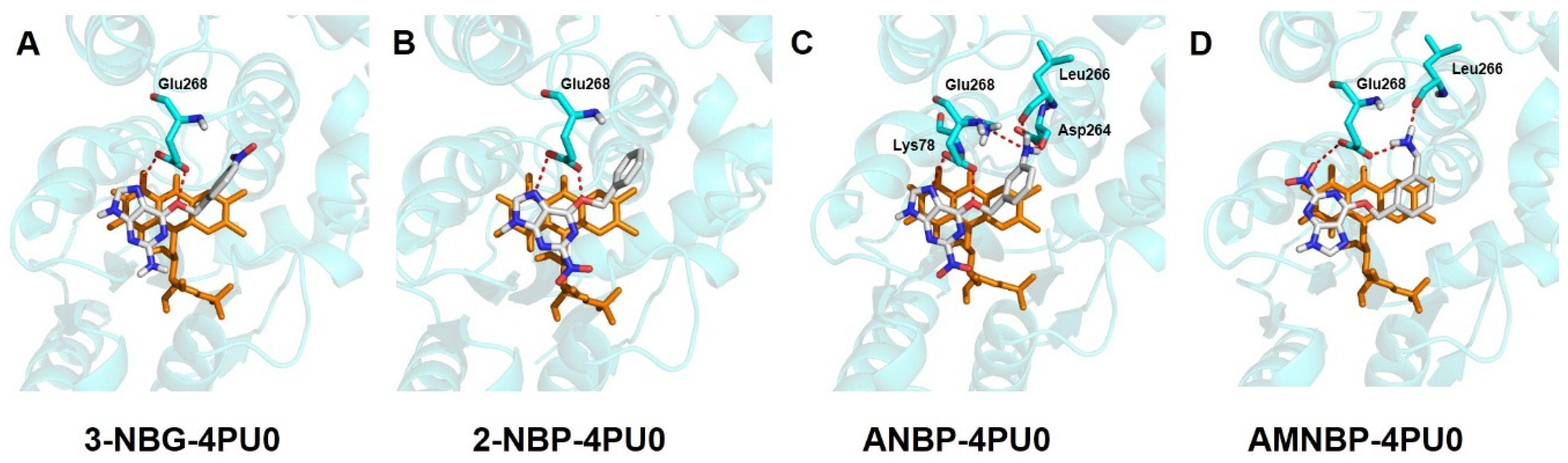 Ijms 20 06308 g010 Ijms 20 06308 g010