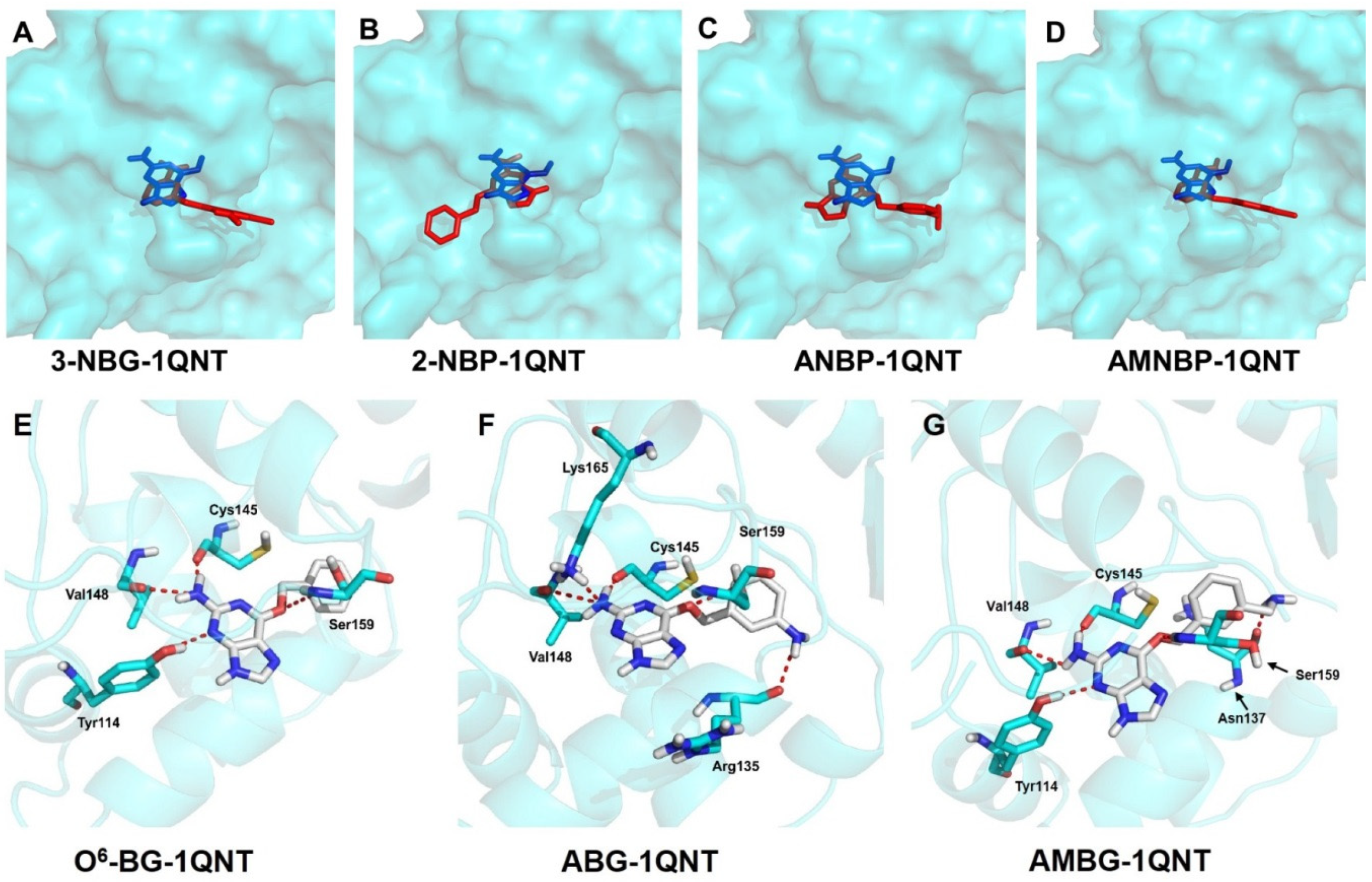 Ijms 20 06308 g011 Ijms 20 06308 g011