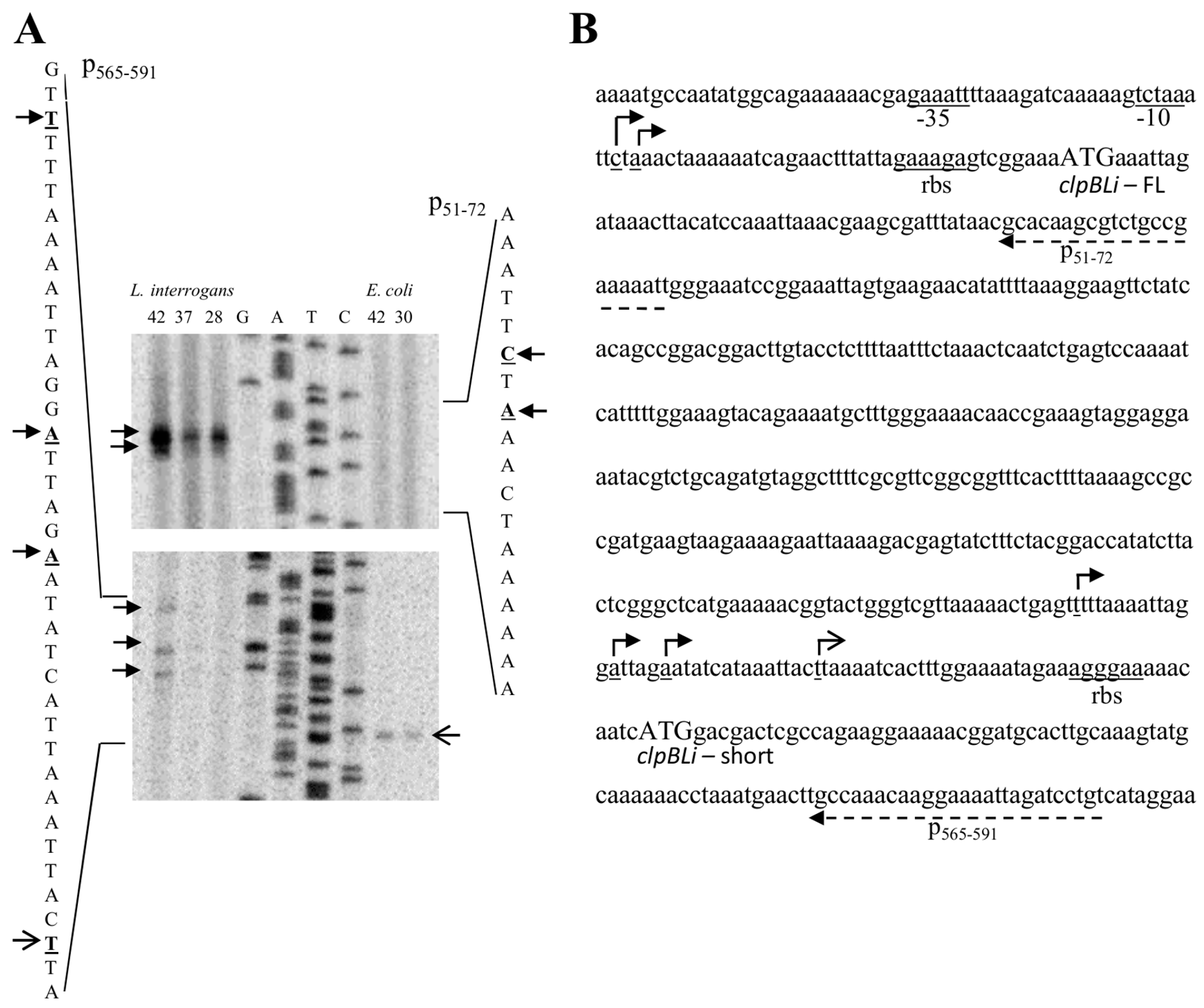Ijms 20 06325 g001 Ijms 20 06325 g001