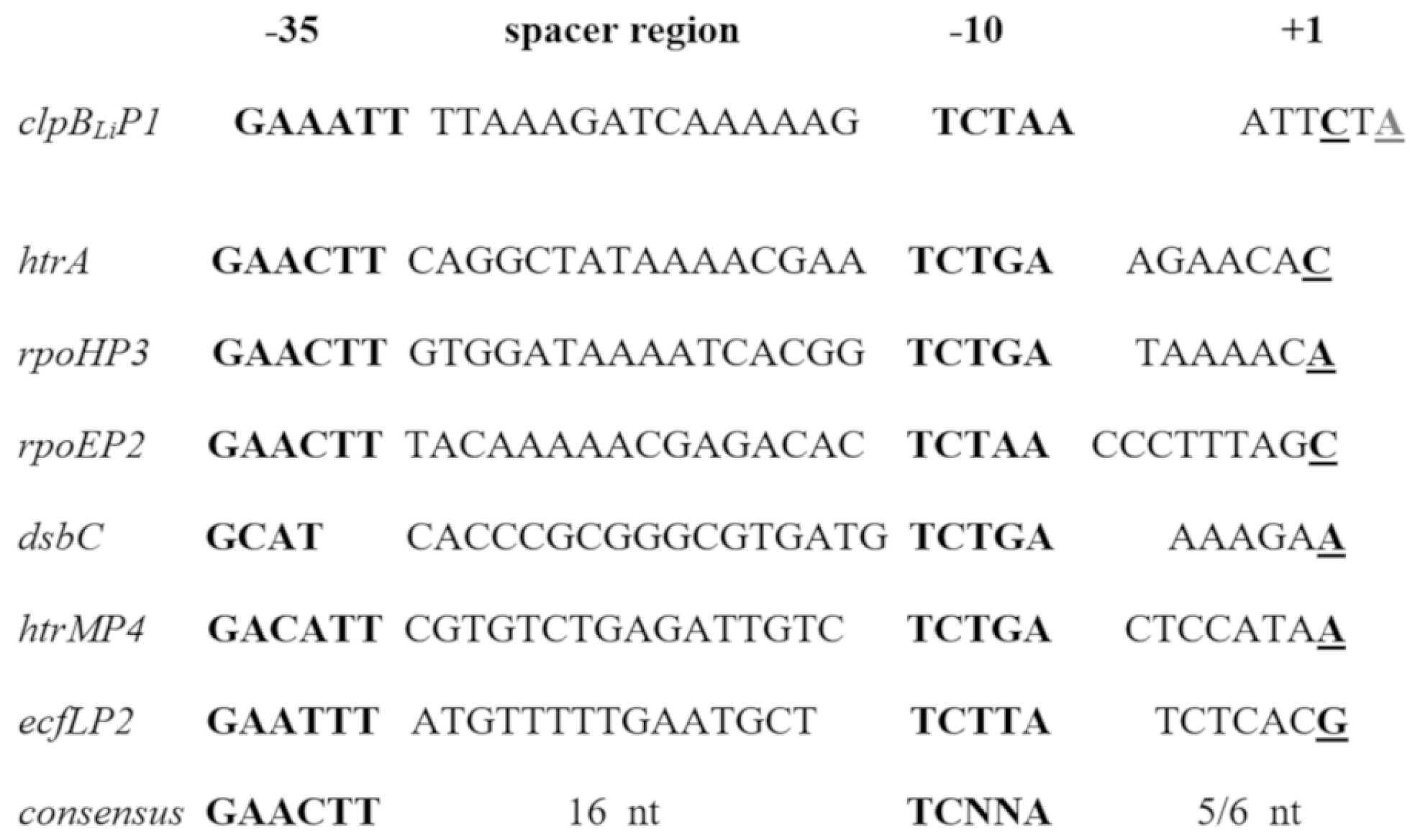 Ijms 20 06325 g002 Ijms 20 06325 g002