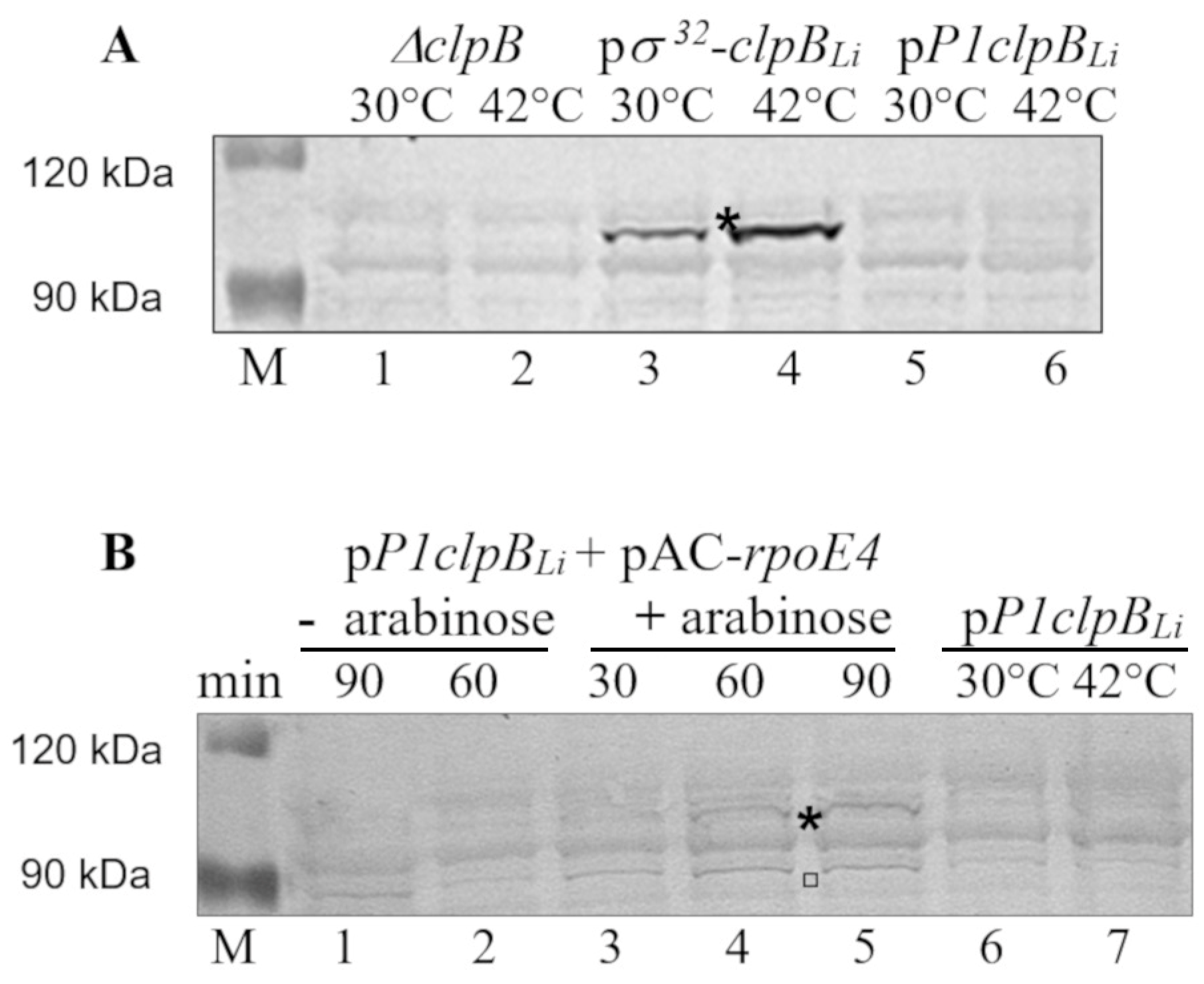 Ijms 20 06325 g004 Ijms 20 06325 g004