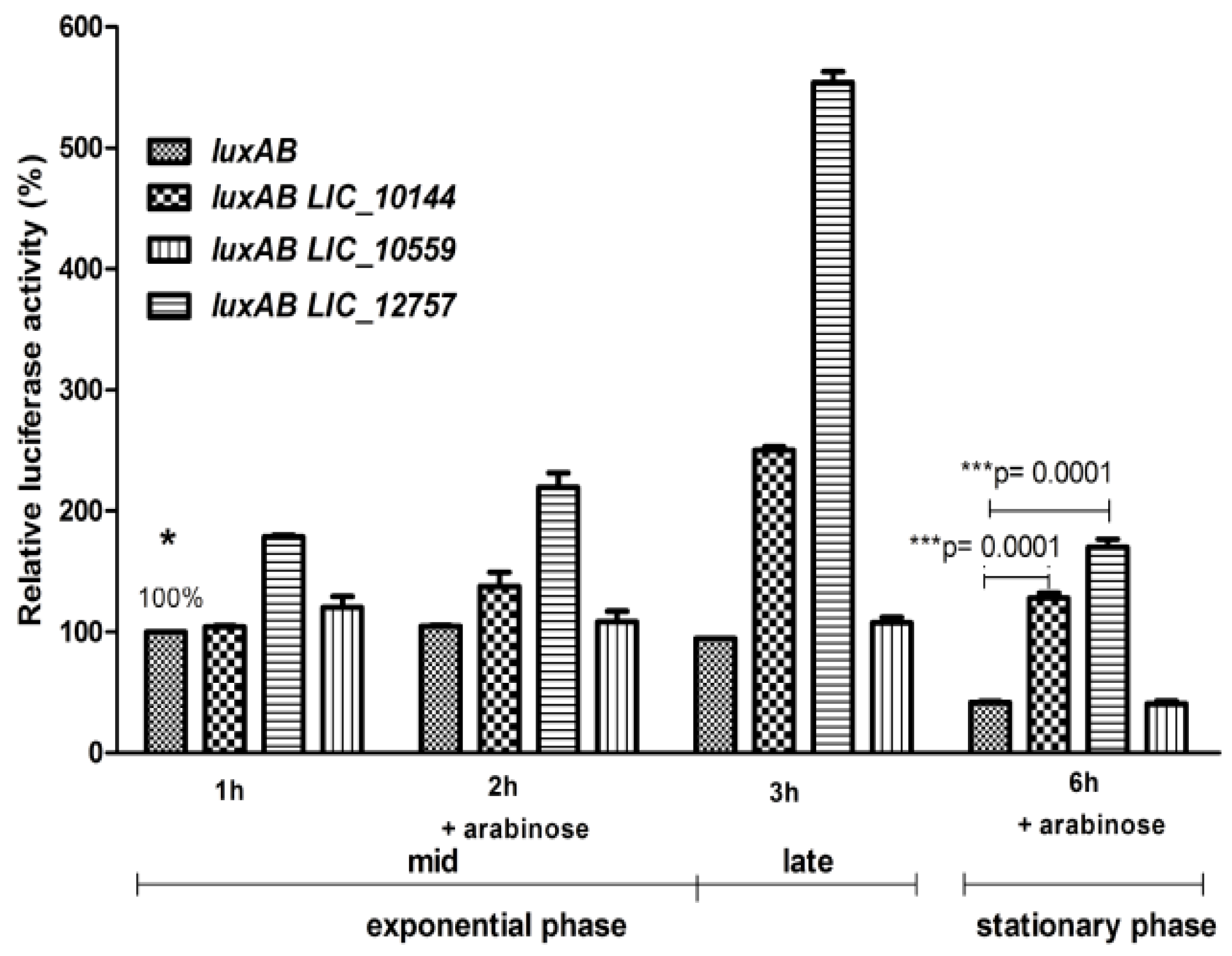 Ijms 20 06325 g005 Ijms 20 06325 g005