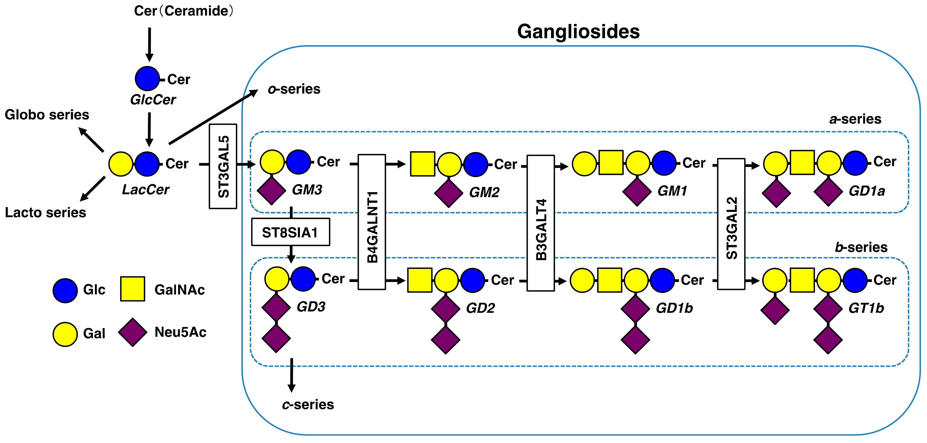 Ijms 20 06362 g002 Ijms 20 06362 g002