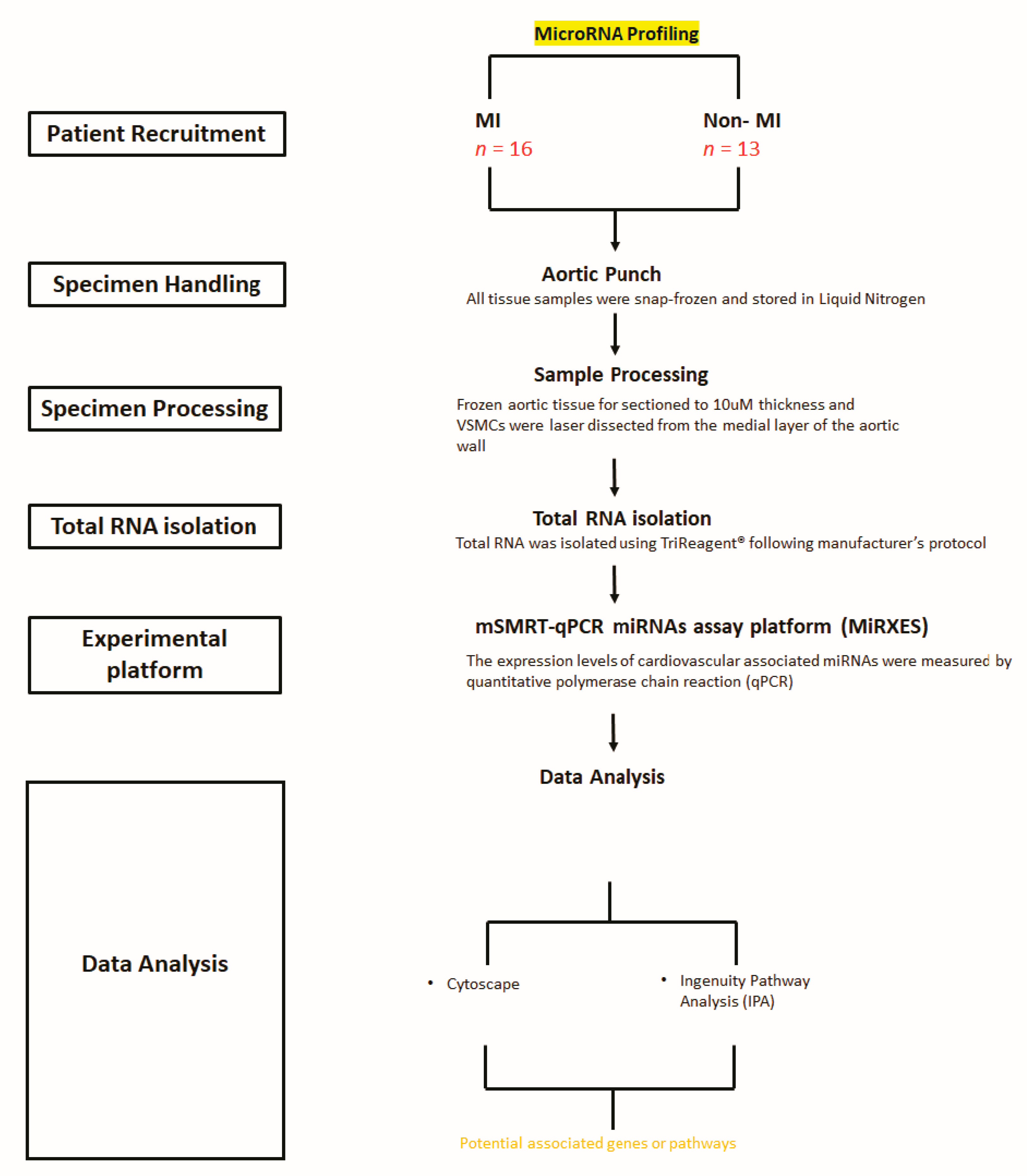 Ijms 21 00011 g006 Ijms 21 00011 g006