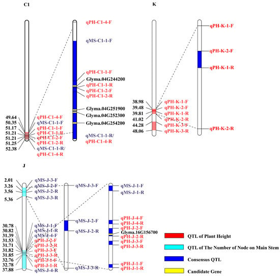 Ijms Free Full Text Combined Linkage Mapping And Bsa To Identify Qtl And Candidate Genes For Plant Height And The Number Of Nodes On The Main Stem In Soybean Html