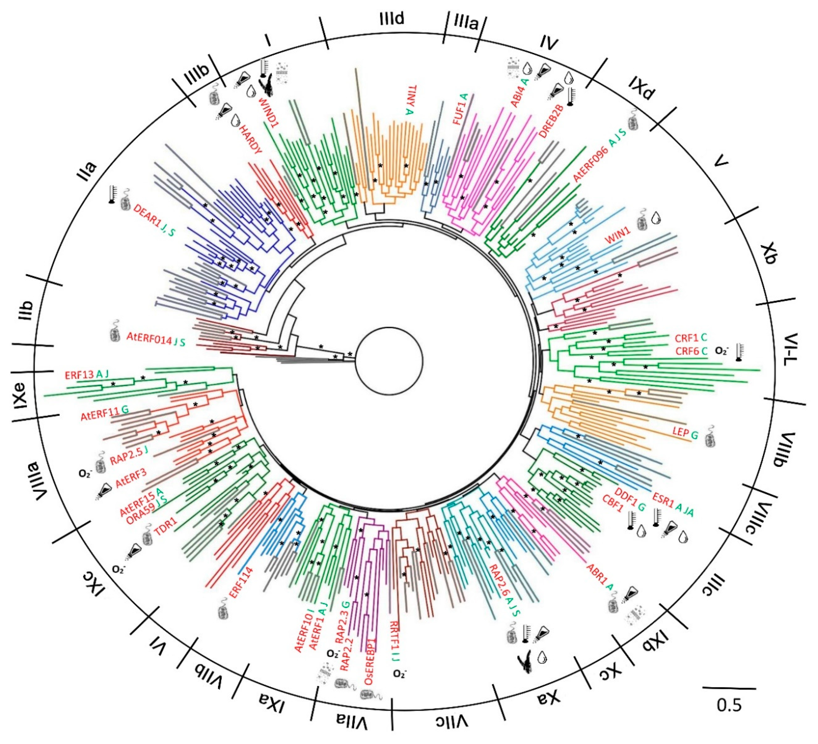 Ijms 21 00074 g001 Ijms 21 00074 g001