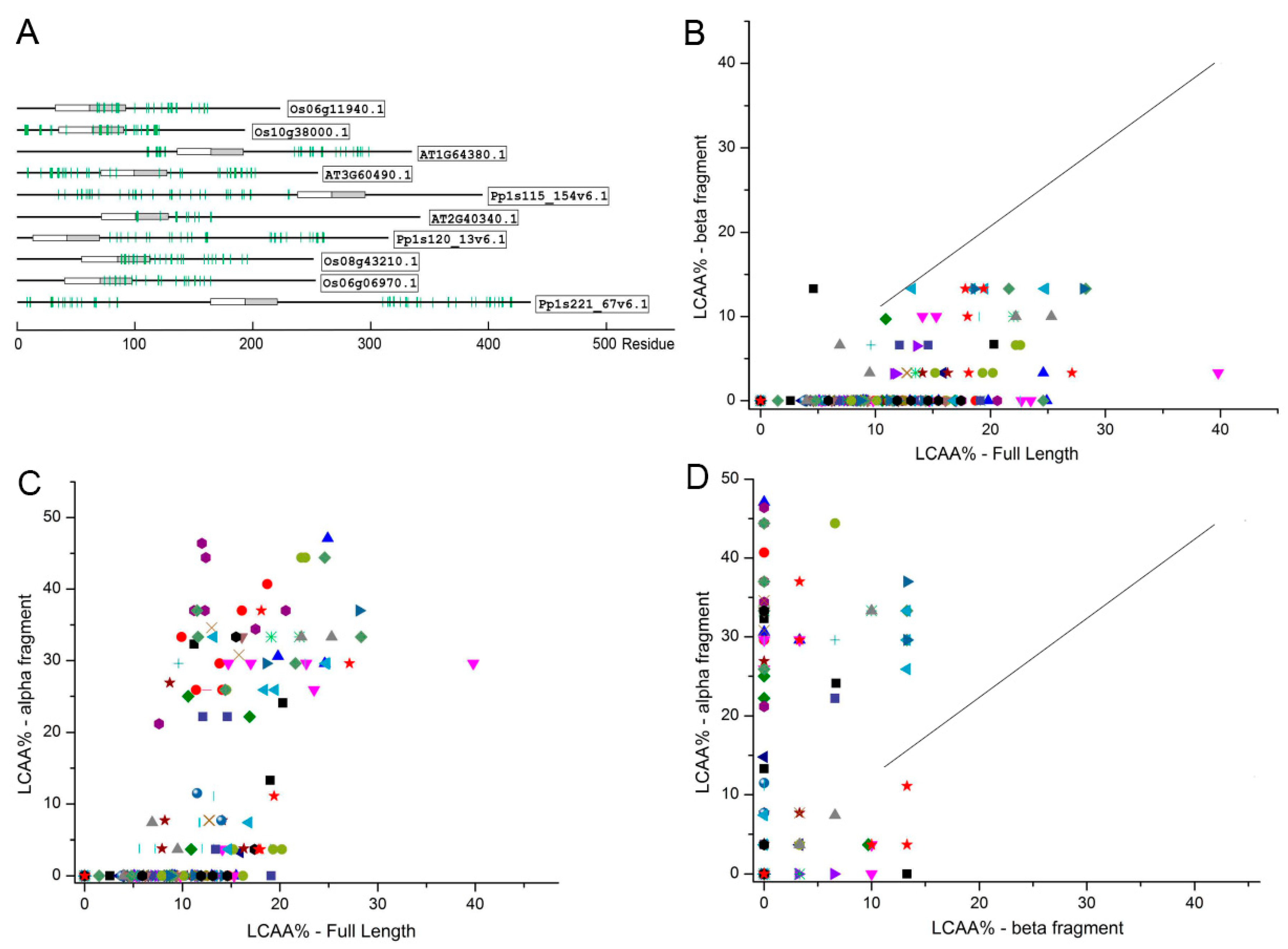 Ijms 21 00074 g008 Ijms 21 00074 g008